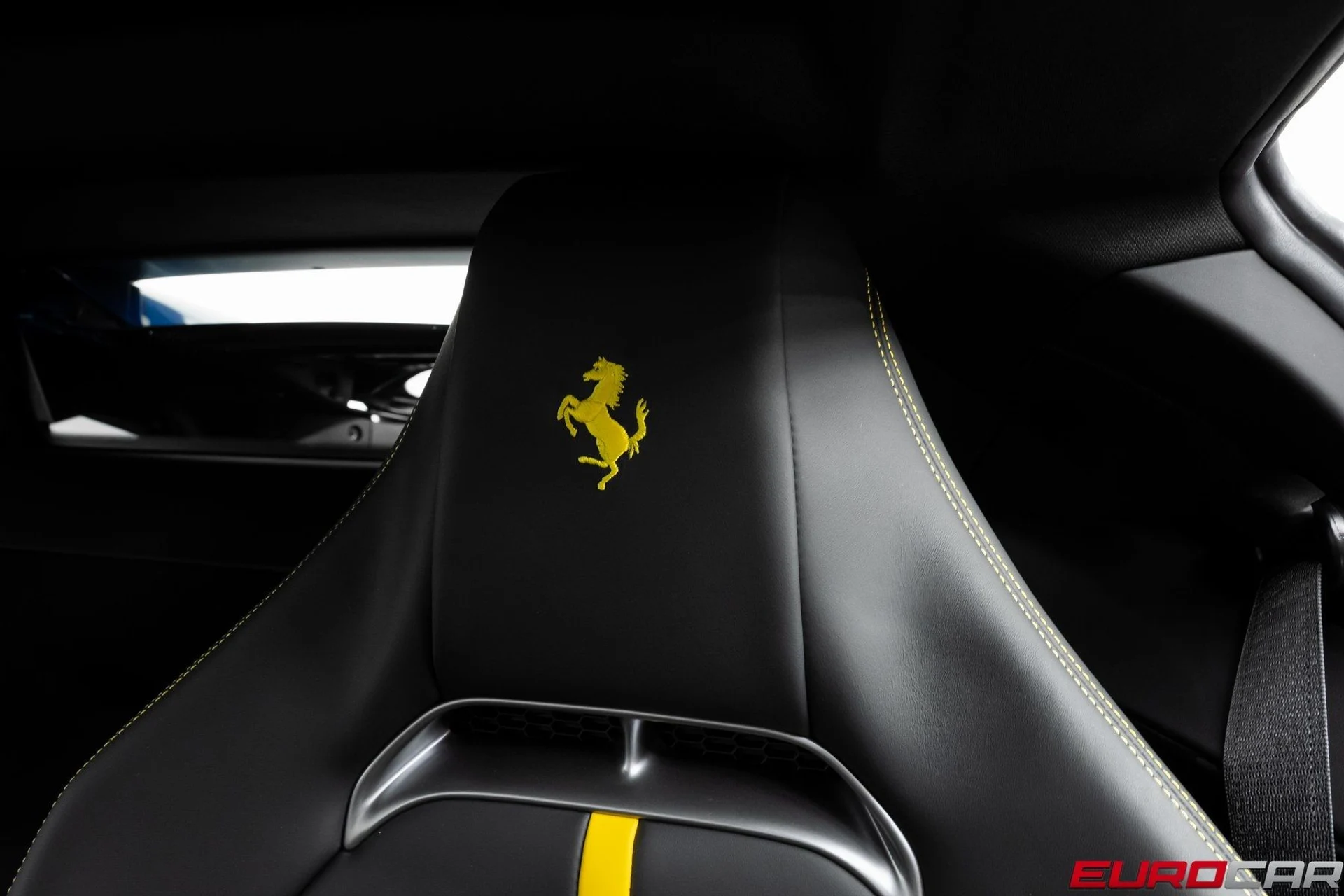 mph041_2914746793_image_42_f10173500a