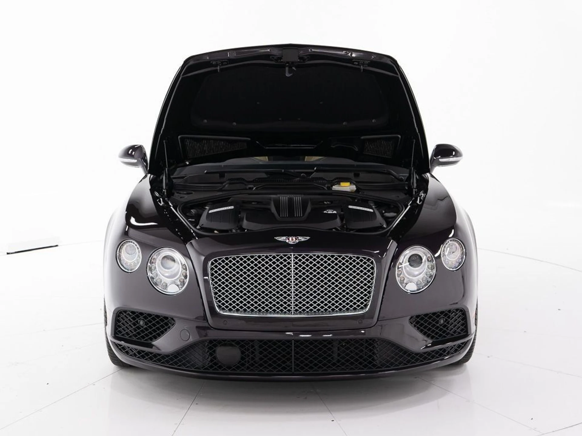 mph041_3214104564_1aef8628079b74aa1b4f0487907446b6_76666c51ae