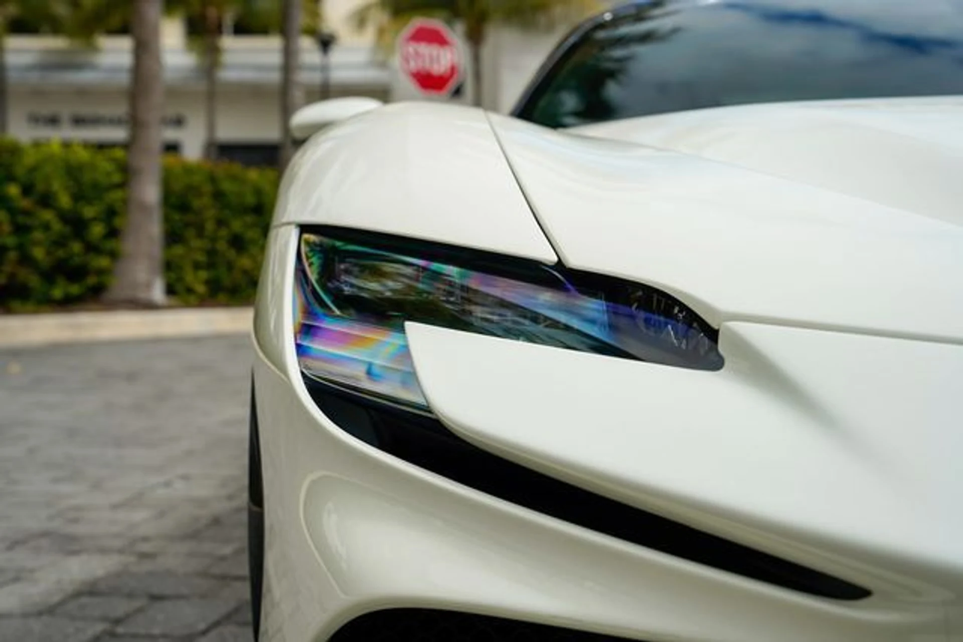 mph041_3318299609_22977808_42_6588d2ab2a