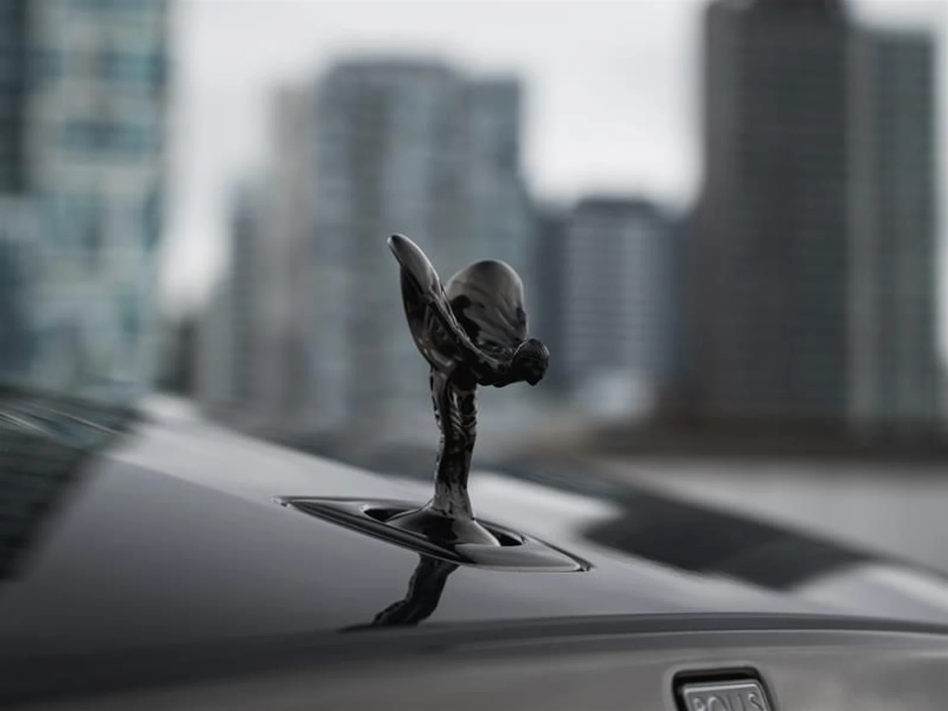 mph041_3322357606_fmbtfk5s_b30d729998