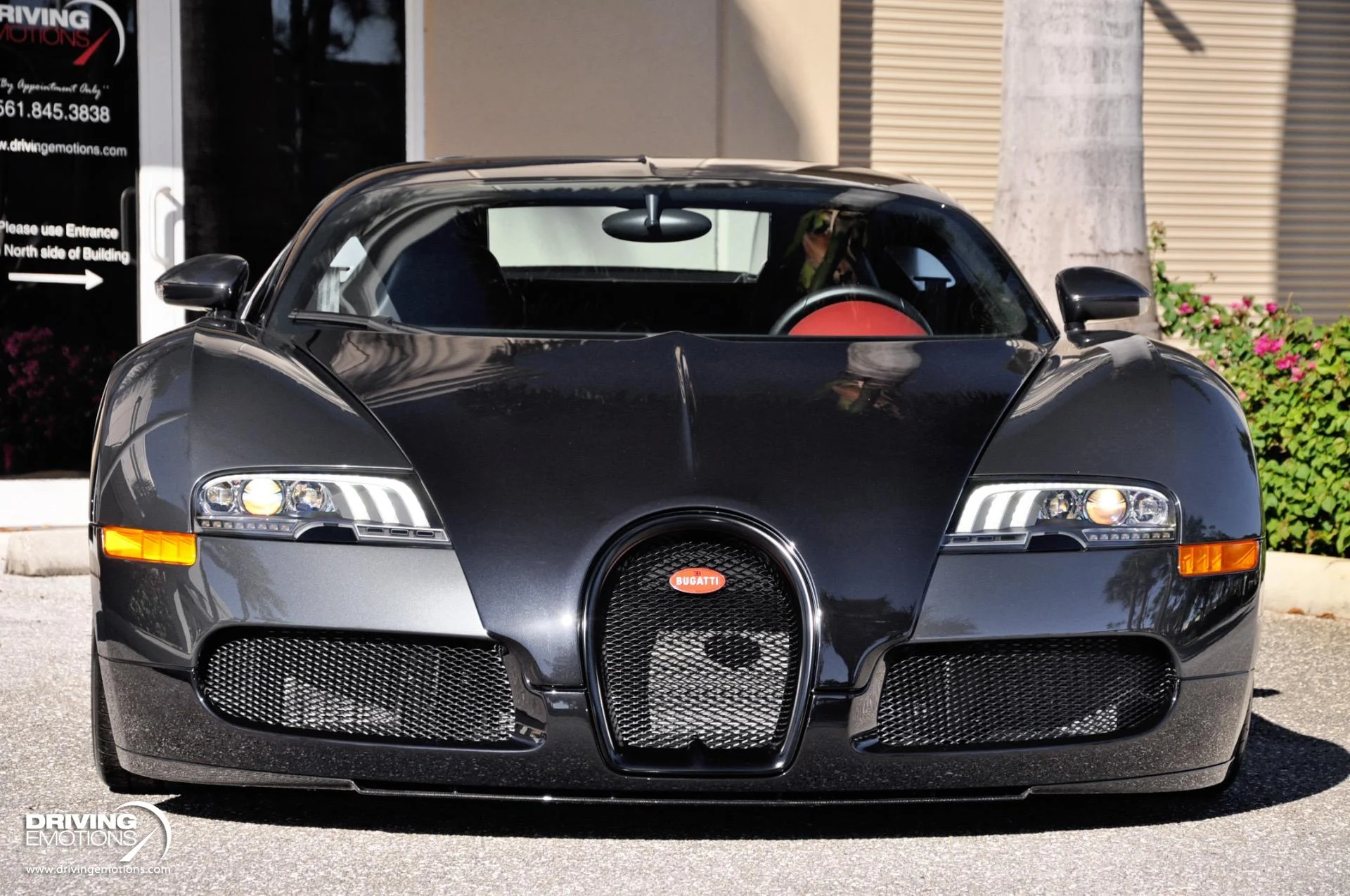 mph041_3396344090_479_p42_l_a41d70f5b3