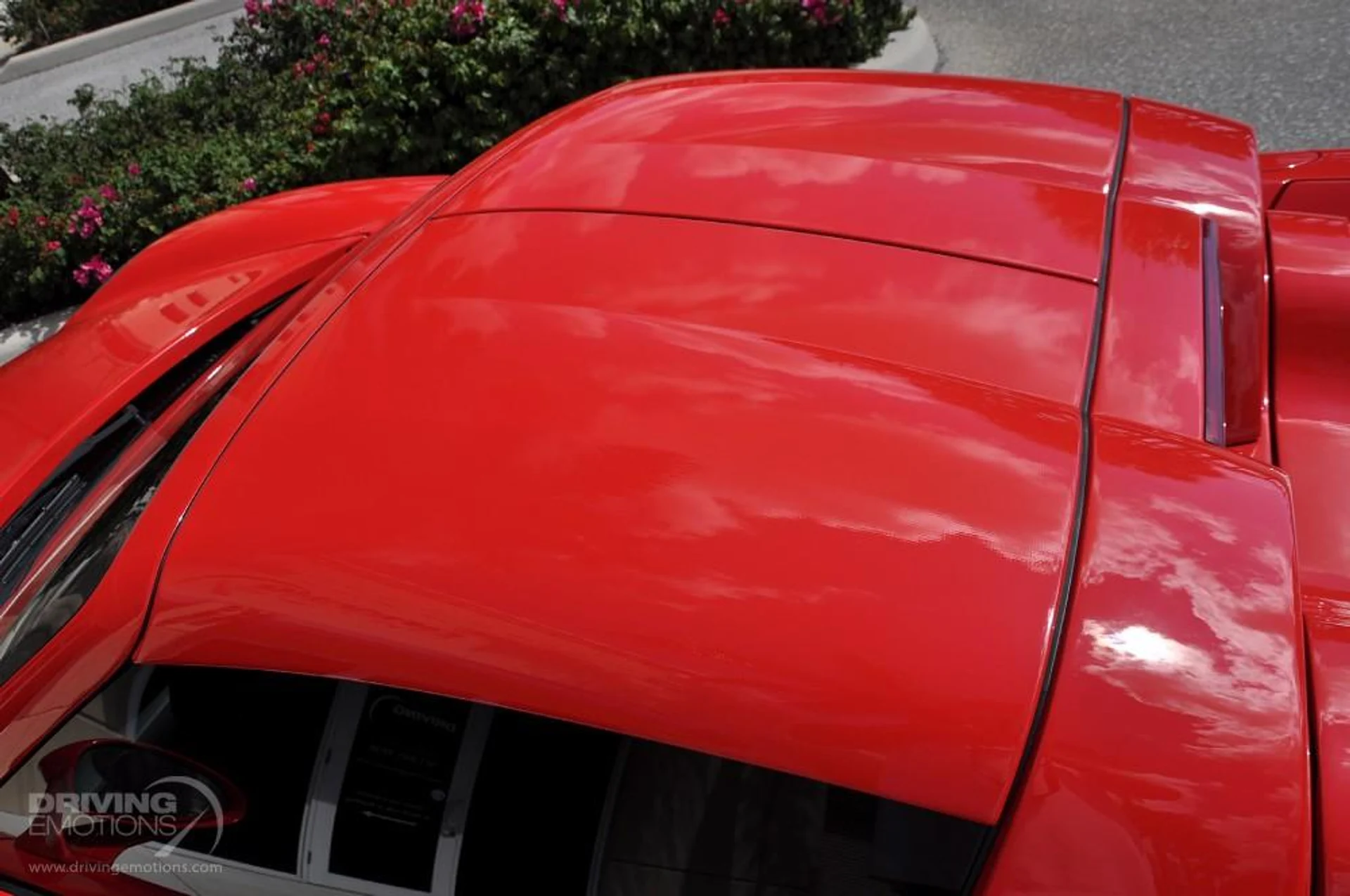 mph041_3605844491_186_p42_l_8f9236606a