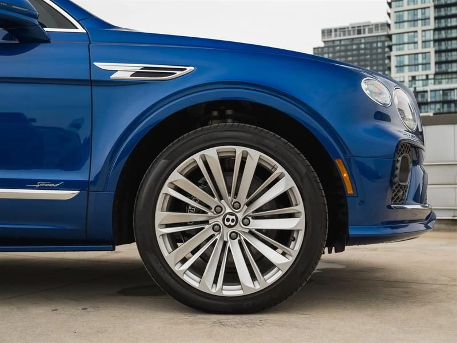 mph041_3641348381_x0jjwgrx_4d70a7232d