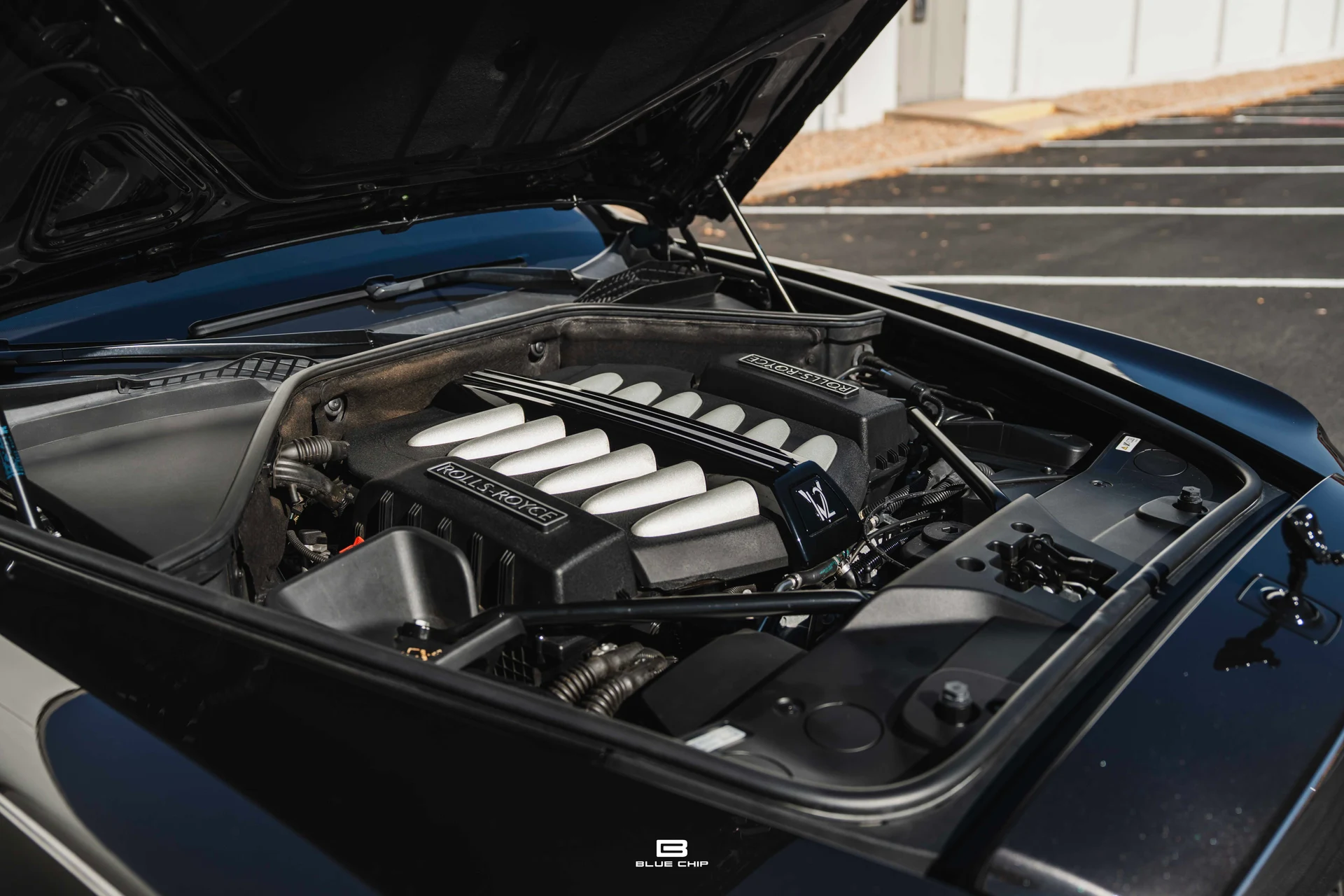 mph041_3676341391_690183ae8527ab1d9daf2f32_DSC_06900_7be962ffdc