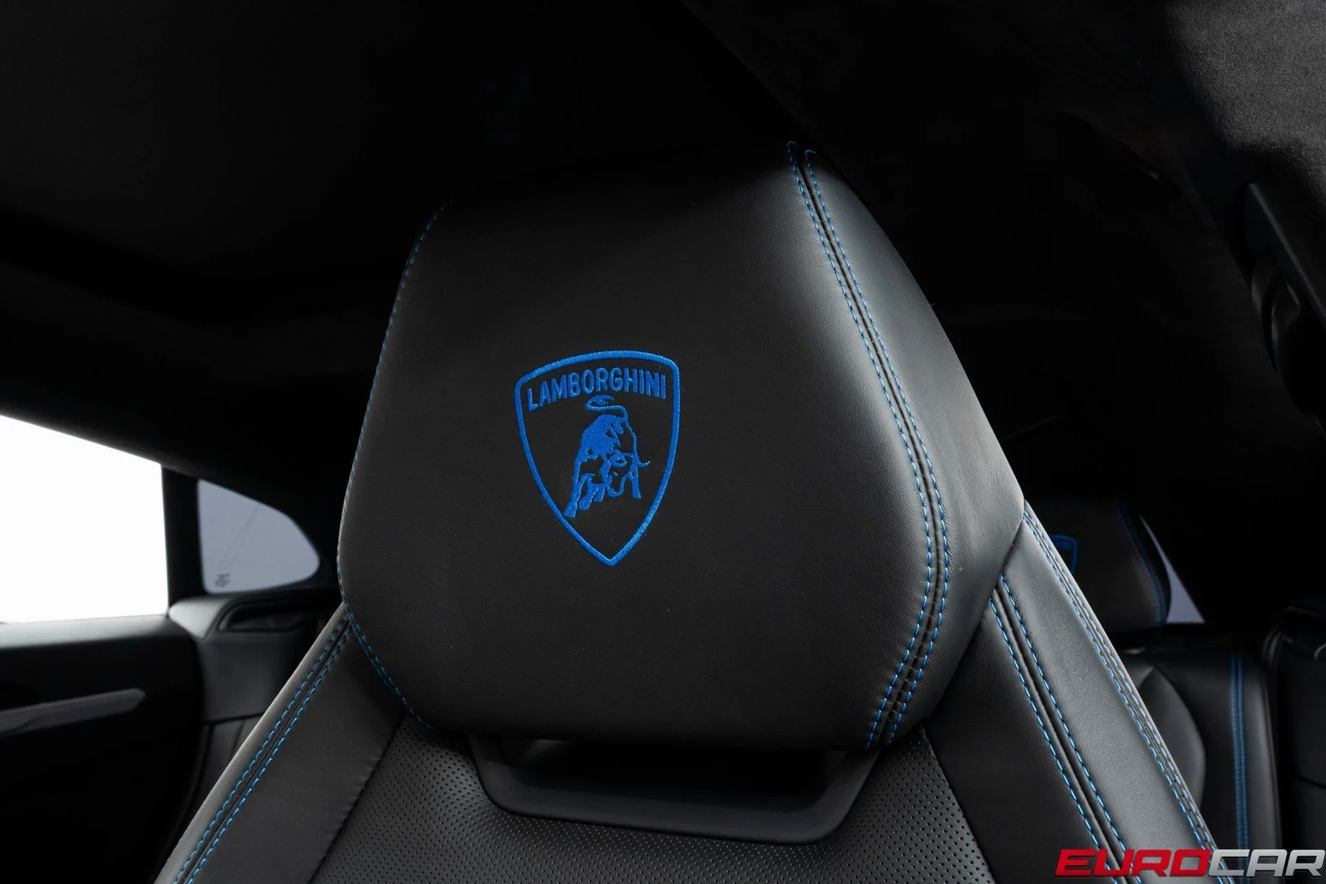 mph041_3720487204_image_42_9a5b21353c