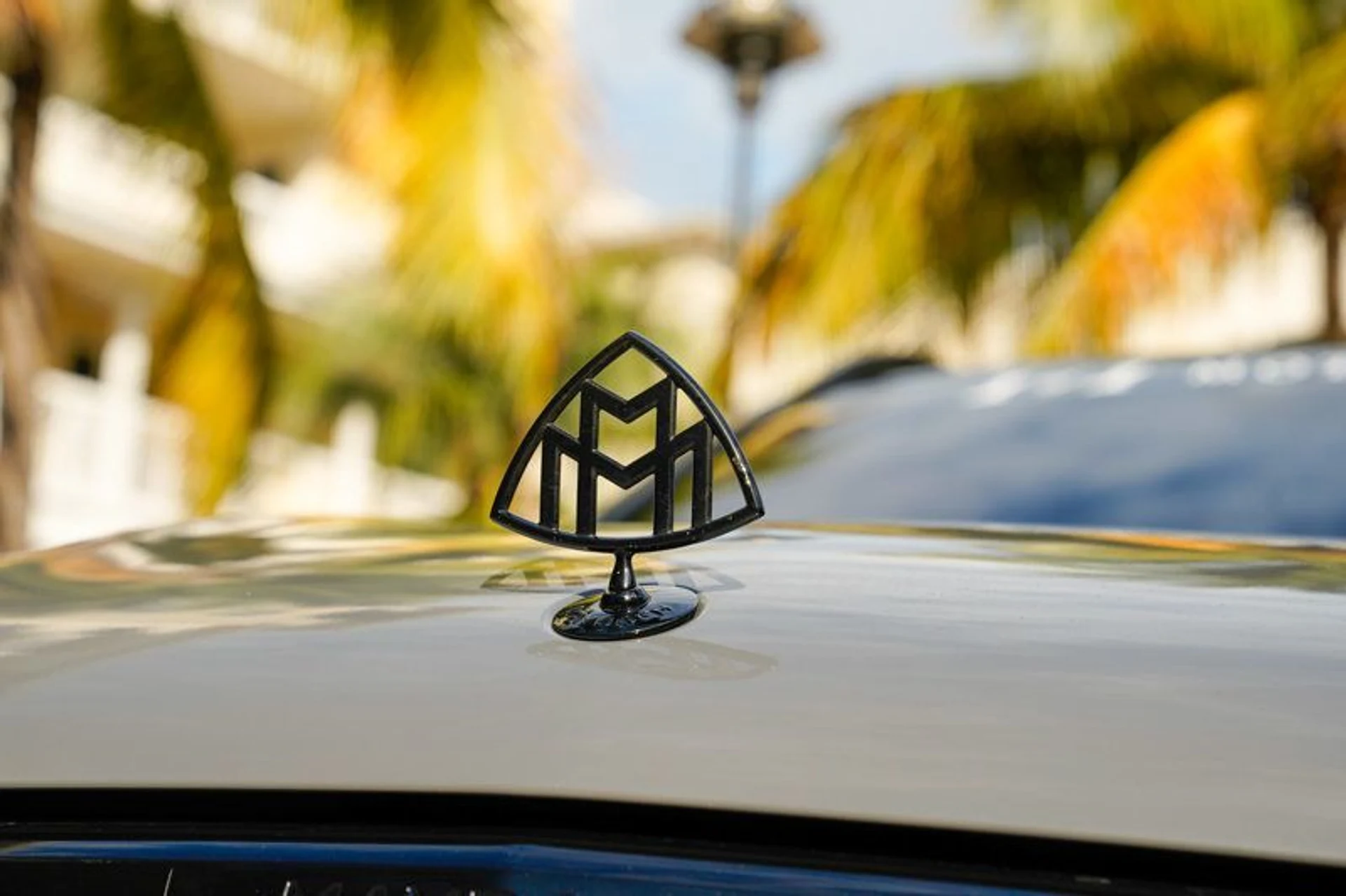 mph041_37381066_22948878_42_800_86378d7b3f