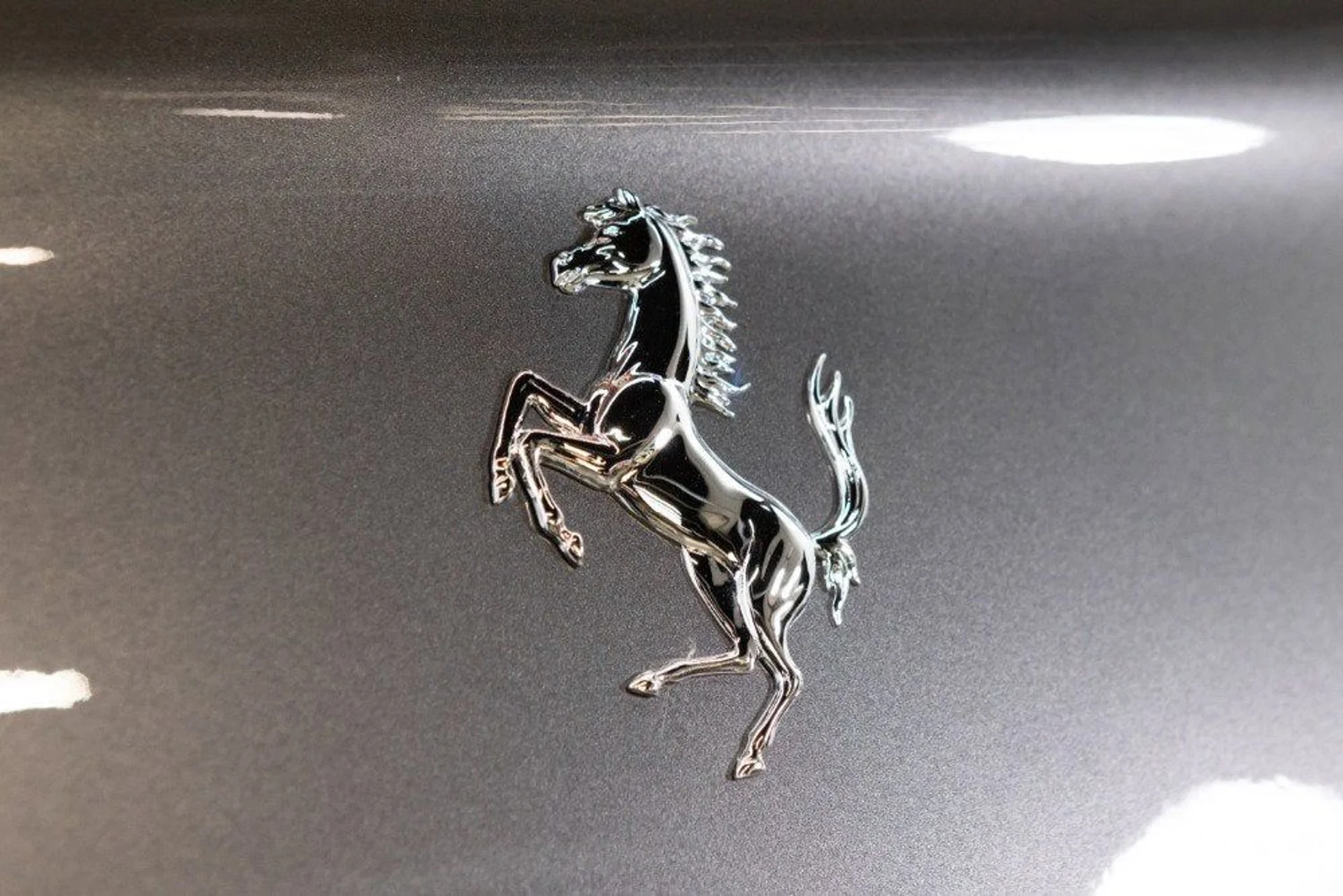 mph041_3894612732_598746dbf9a7409f8b1ced1640d1fbb1_e2eb3692ff