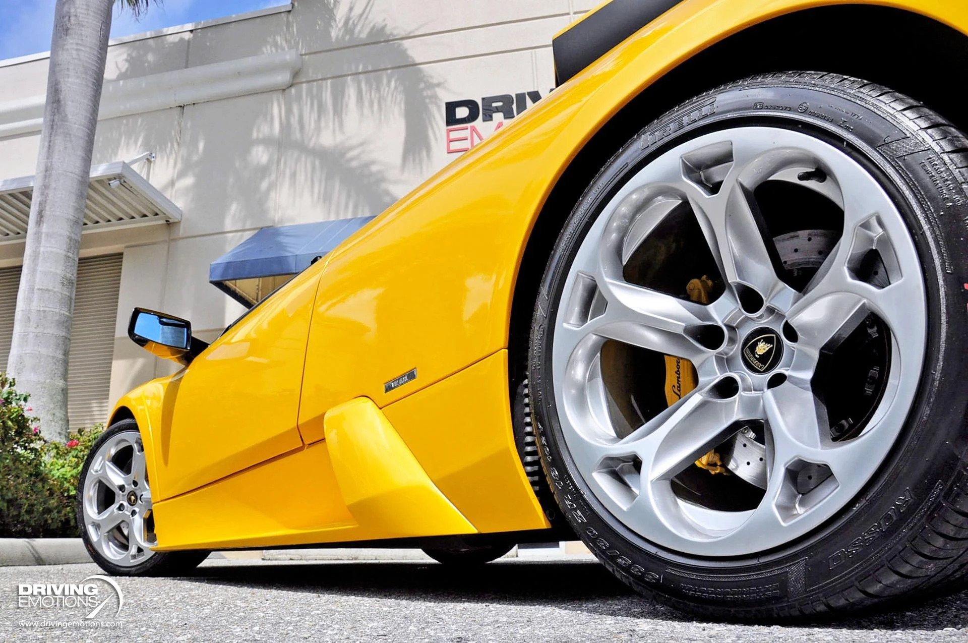 mph041_4029995859_862_p42_l_f778782804