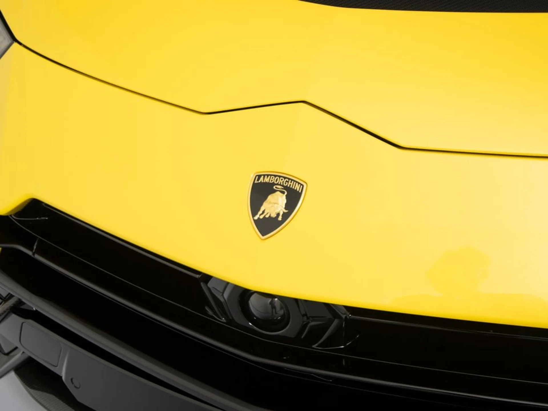 mph041_4241290415_901b3475584711d63ac04931b3402df4x_ebd3943173