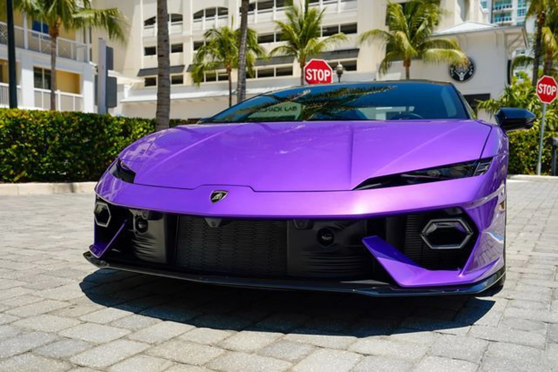 mph041_479552904_23014494_42_a848a939db