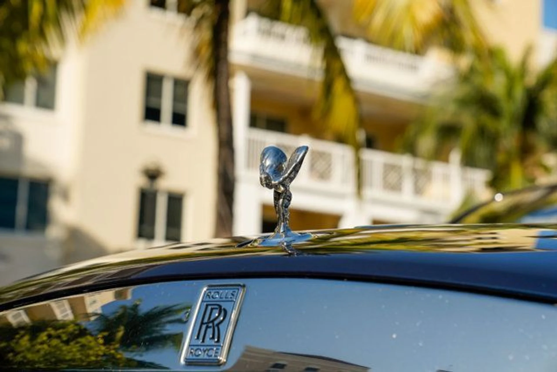 mph041_522426373_22939978_42_640_89823fe4ae