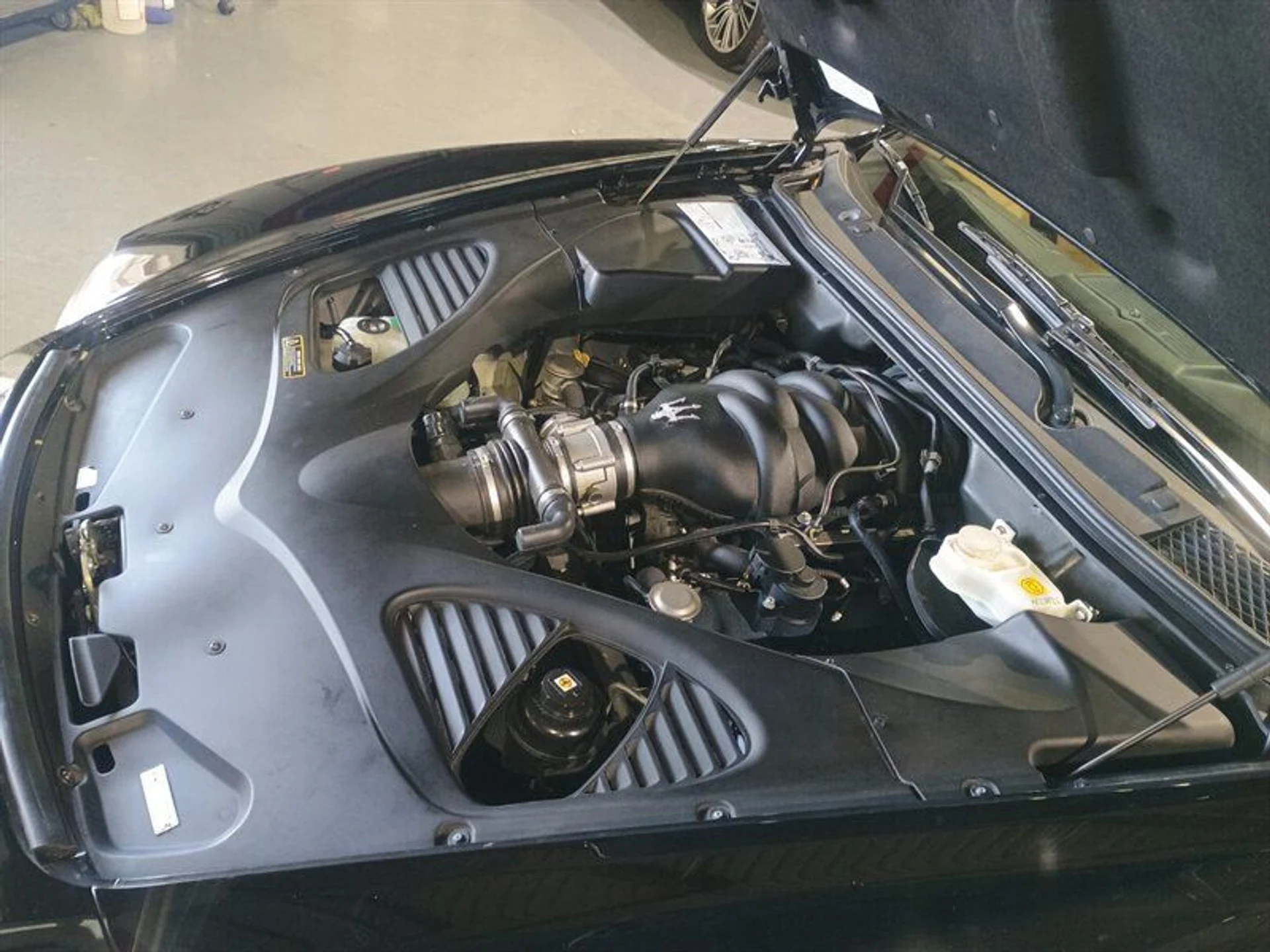 mph041_708410852_fe57fa9d01_800_58c0ff9859