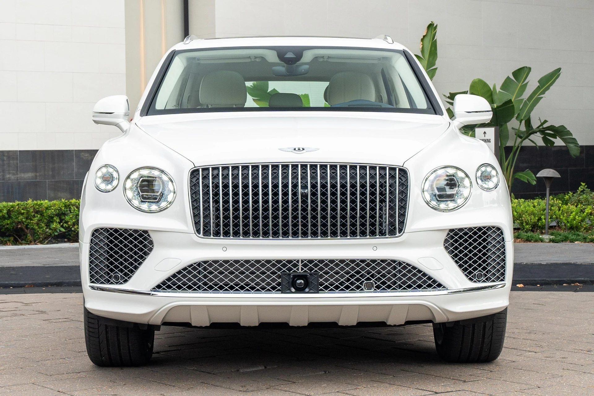 mph041_938704584_389622358_677365572b7a94b33fd41a6c_71f532723c