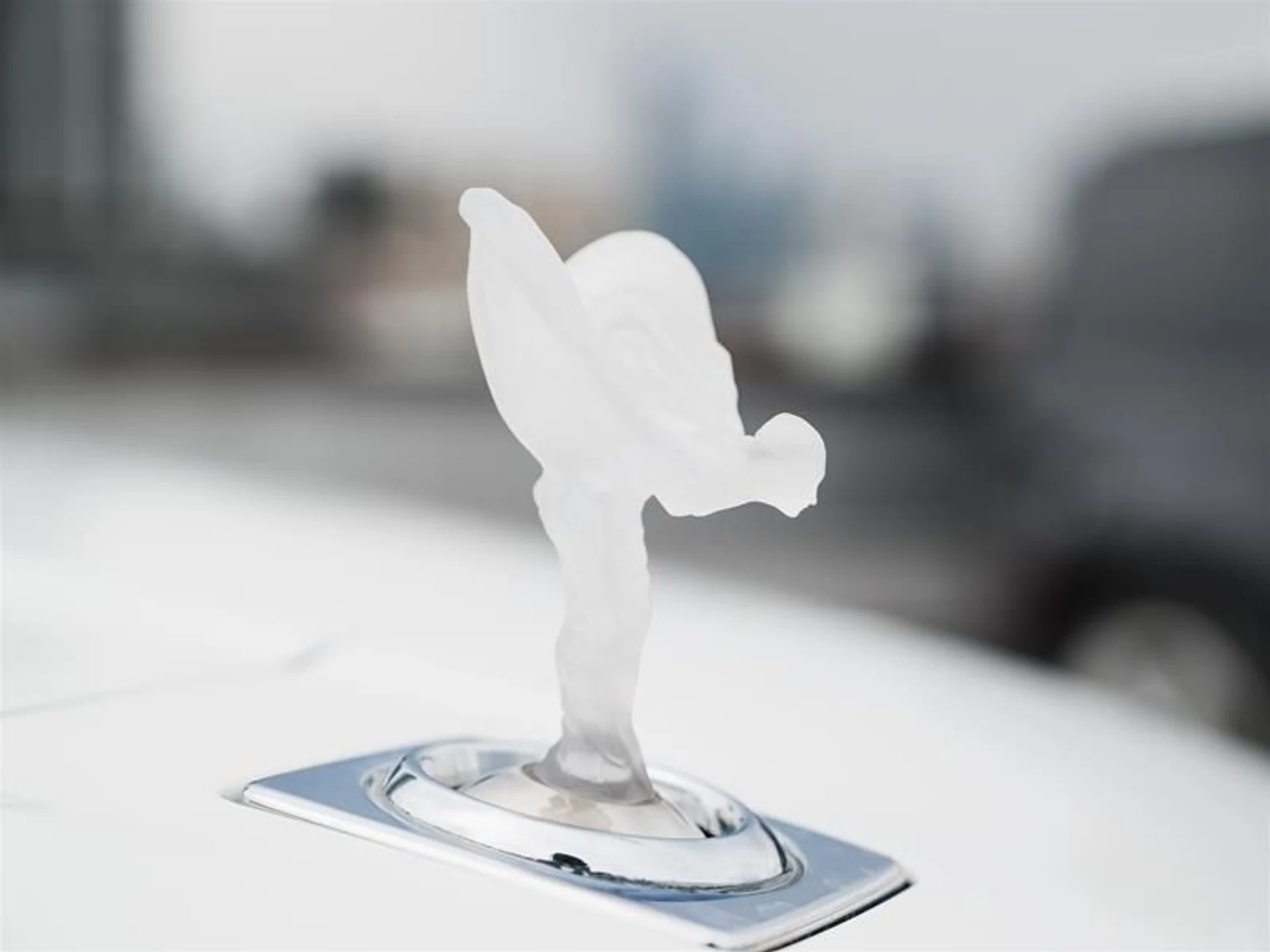 mph041_945319301_qvy0oycs_73f63bfef9