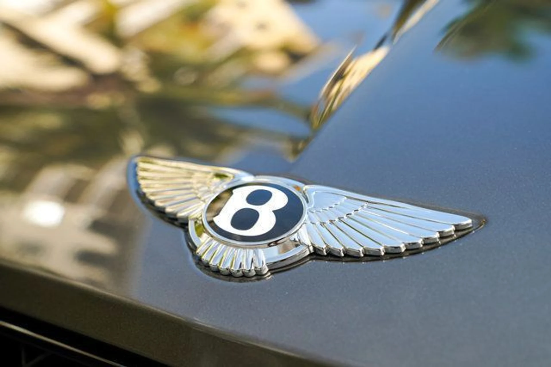 mph042_1231404026_22956151_43_640_b054f90386