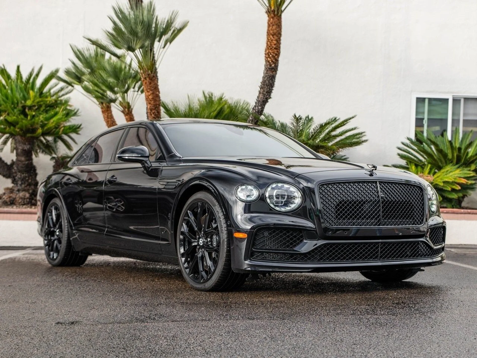 mph042_1883669506_17553ec0190da02bdf56901e9f475933x_49b0faaf11