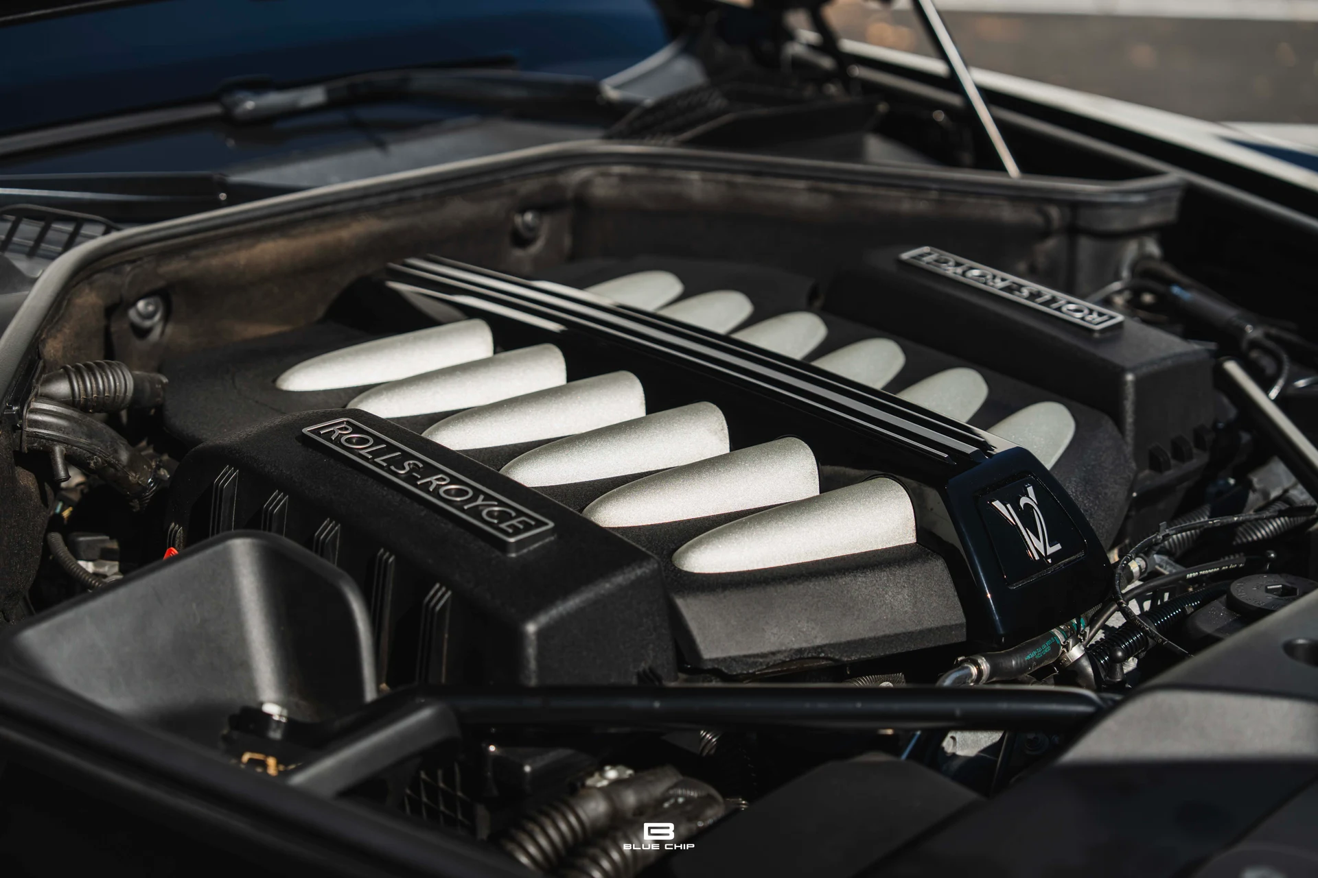 mph042_1938164761_690183b087668c10f958dce8_DSC_06903_64d2353cab