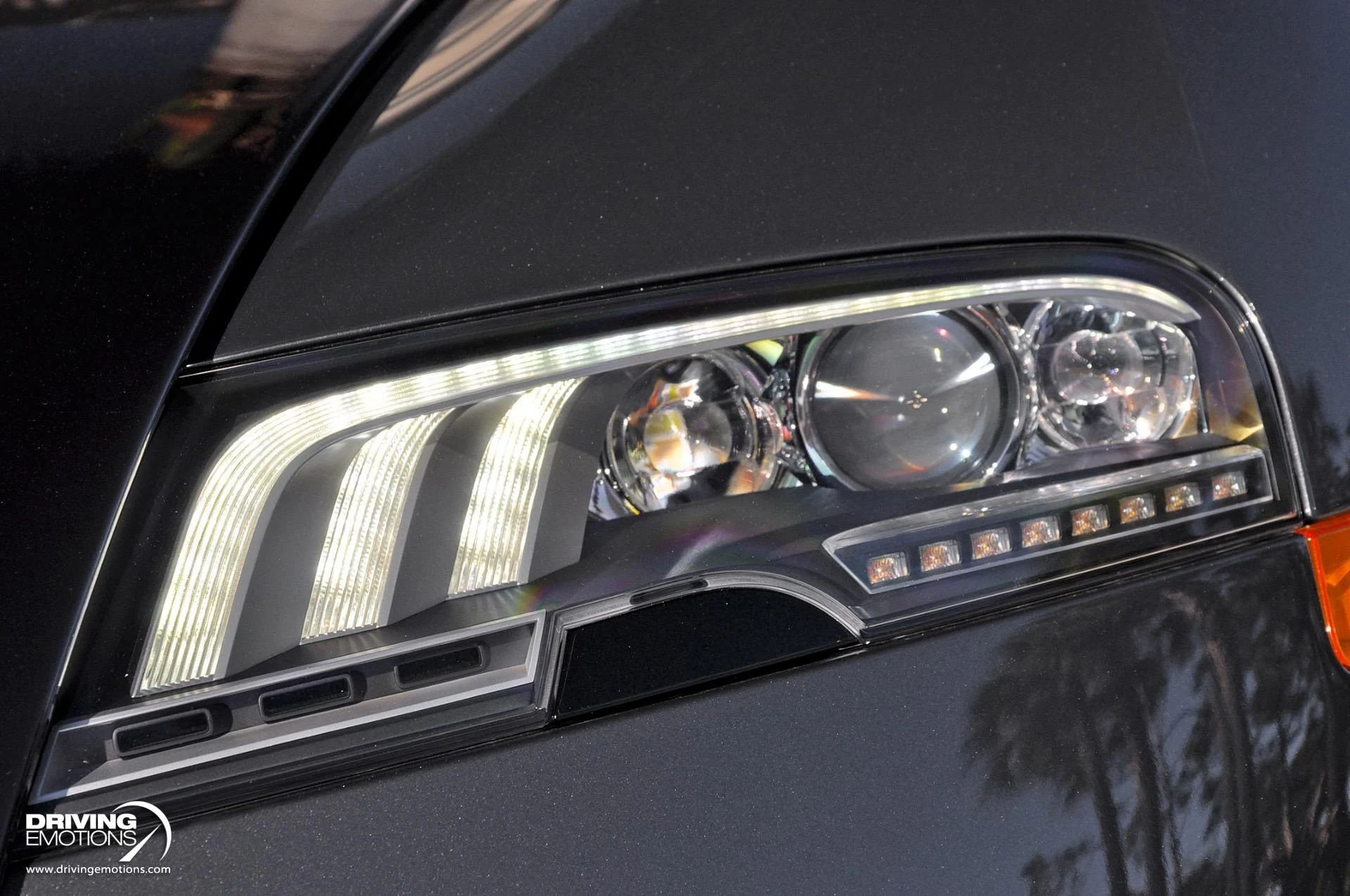 mph042_2051691759_479_p43_l_53411d52f2