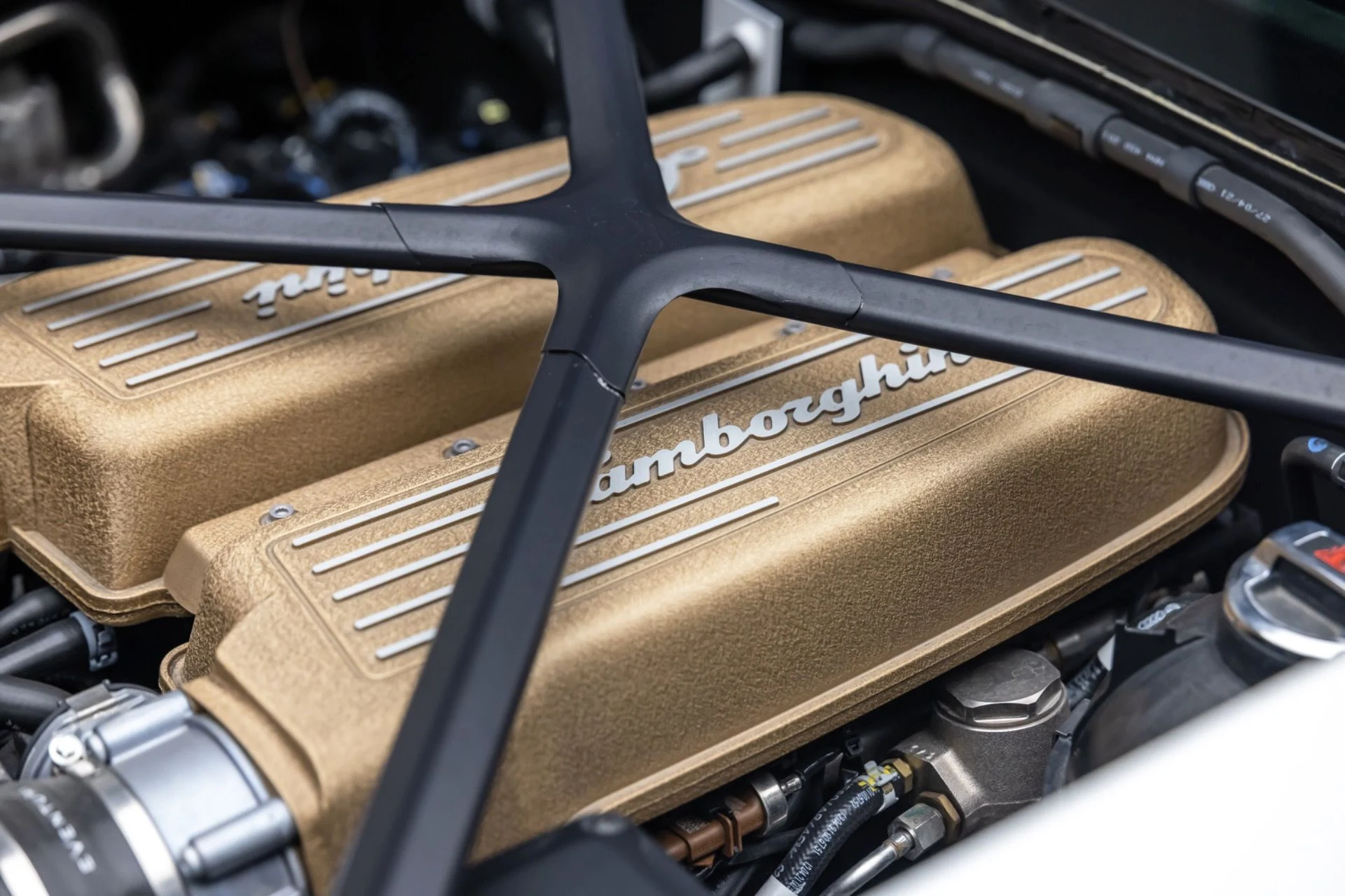 mph042_2076656052_13197_p43_l_980ba1b672