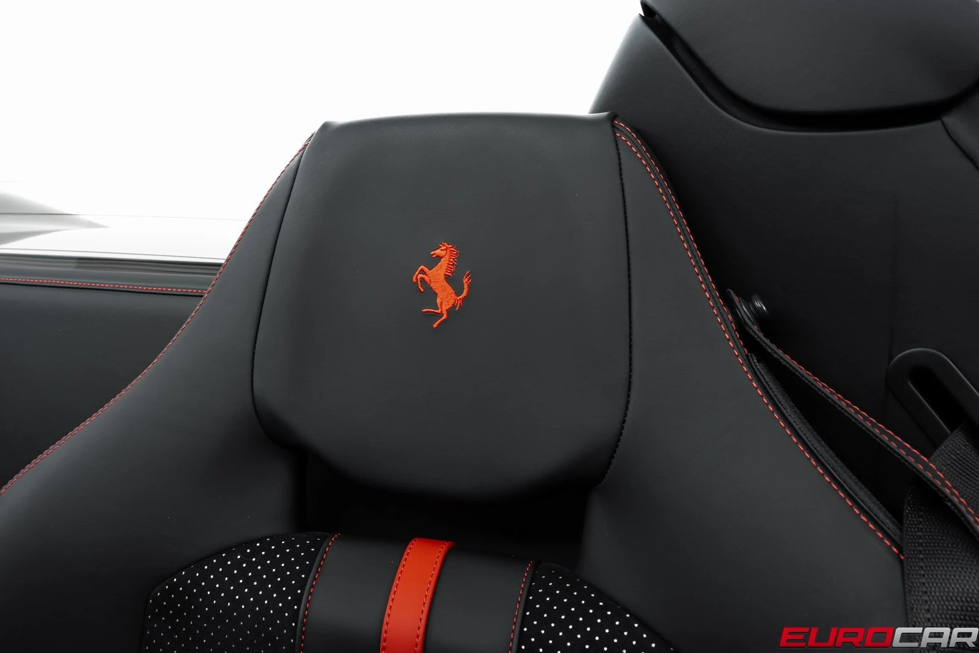 mph042_2160950642_image_43_99a7e3cbd0