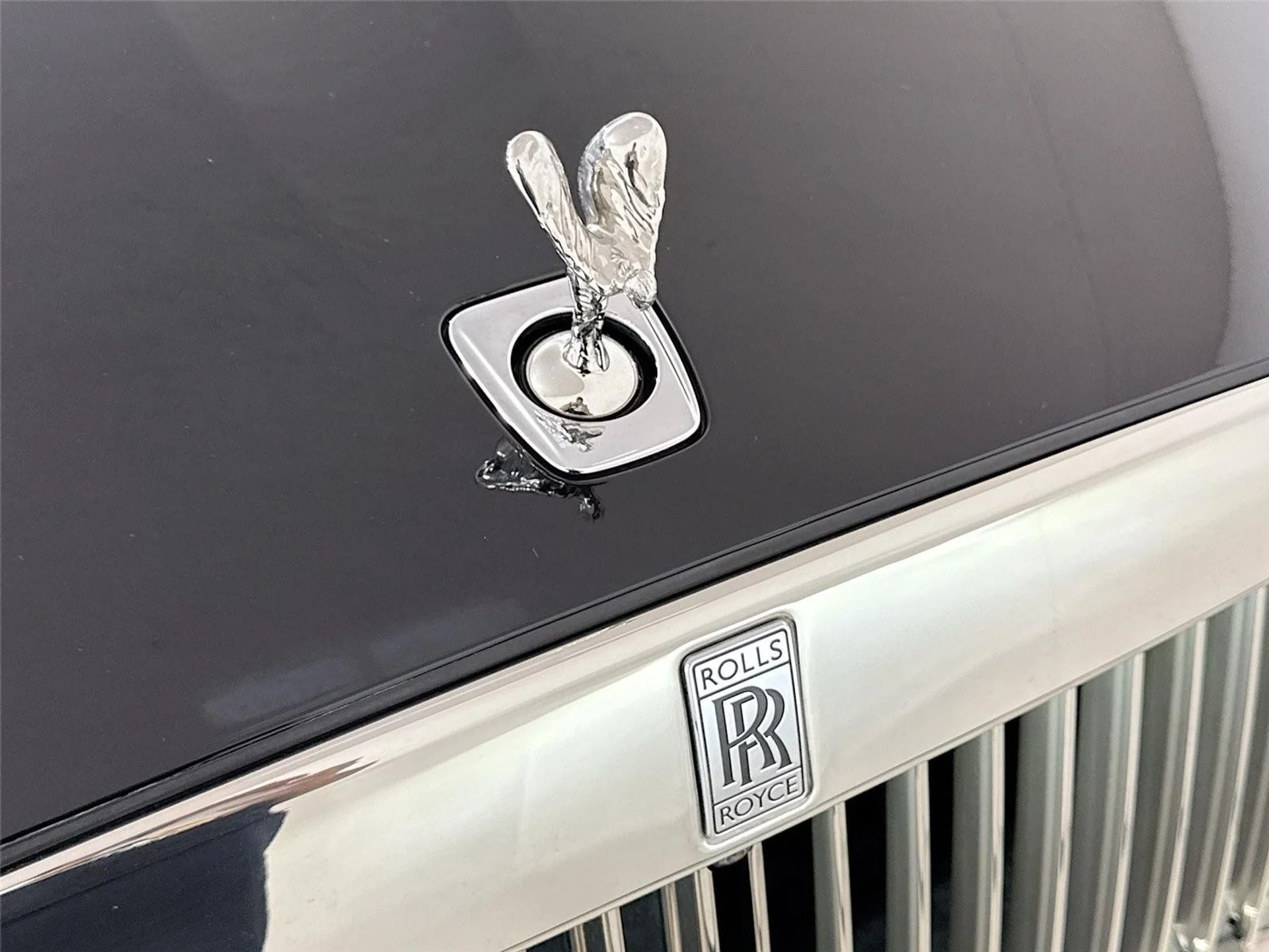 mph042_2871444501_40d029868cdc226d31d0d8825b91c84d_eca4bab29b