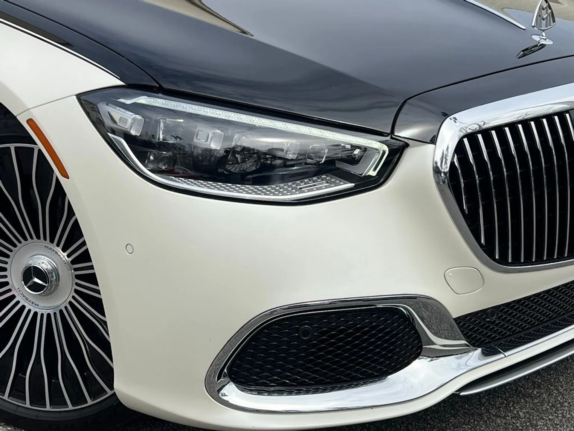 mph042_3162569068_d9da84bb411a607e5e4130f0737b7e22x_924a969b4a