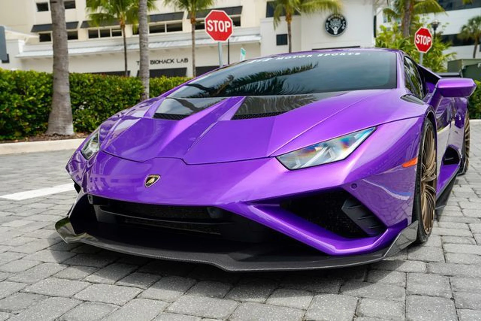 mph042_3169280109_23012204_43_6477d0d791