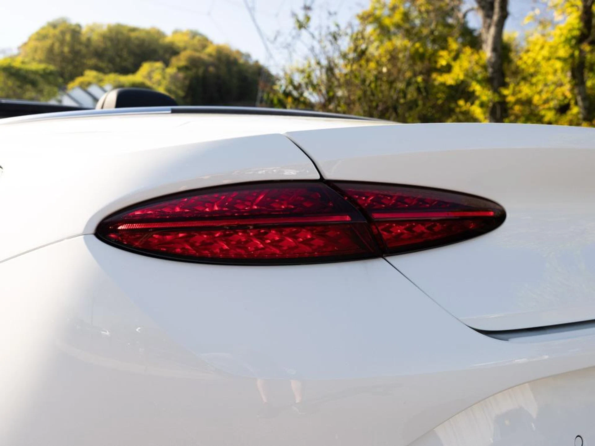 mph042_3175581517_465336698_68f22a7cc83056c645fcffc4_7d8946dfed