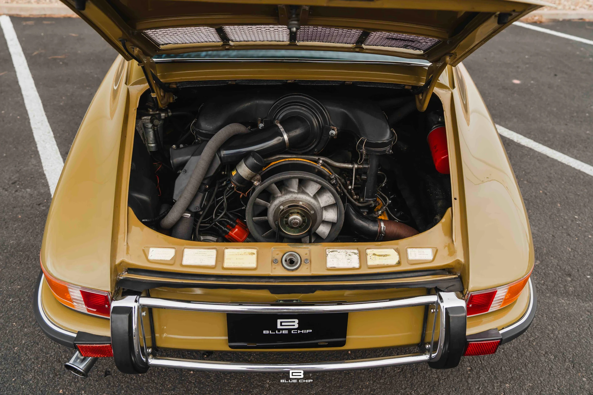 mph042_3324479681_695be05baf490095a2fbb816_A7401745_202a4b7fab