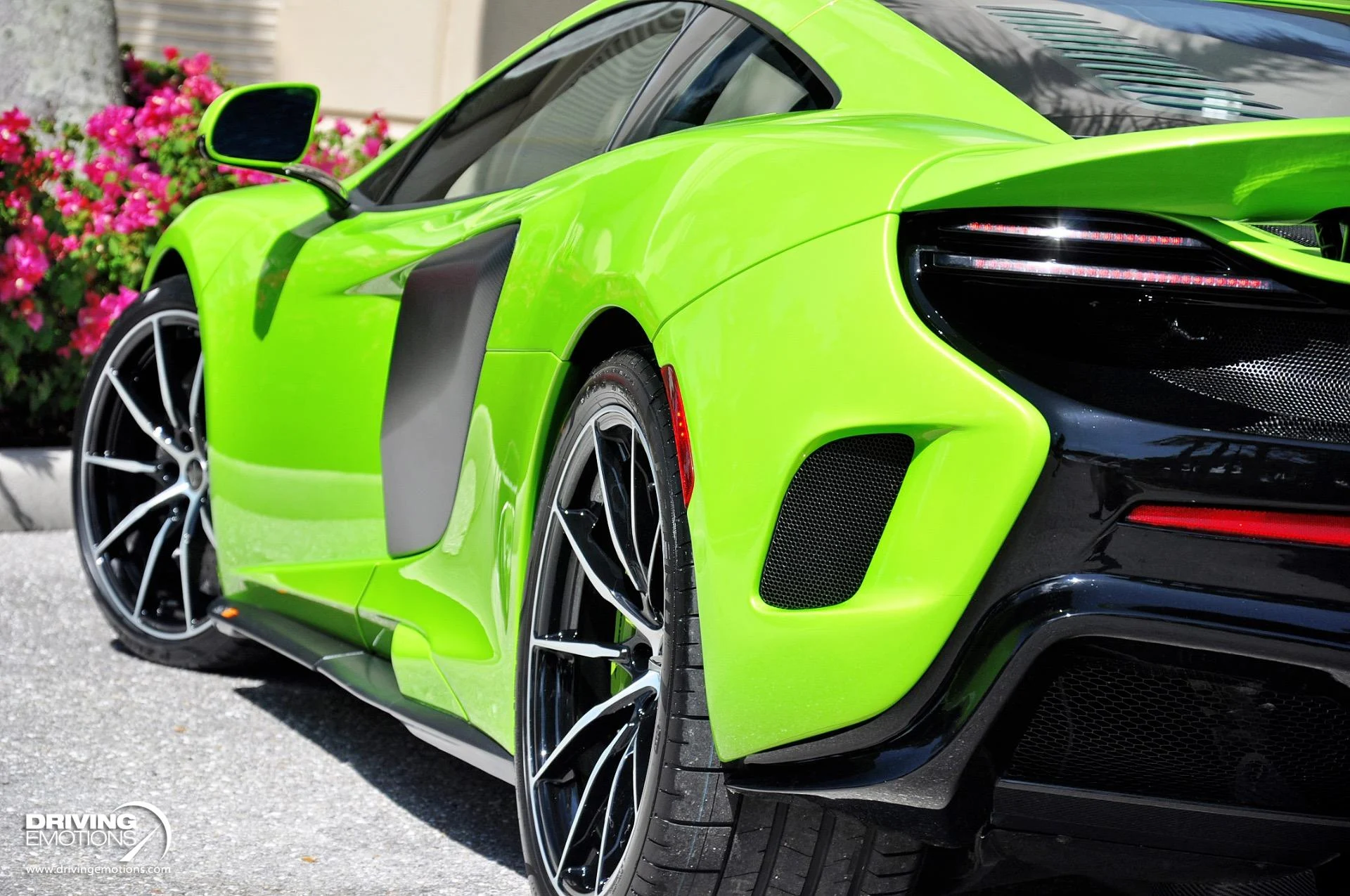 mph042_333808589_855_p43_l_8040a1c588