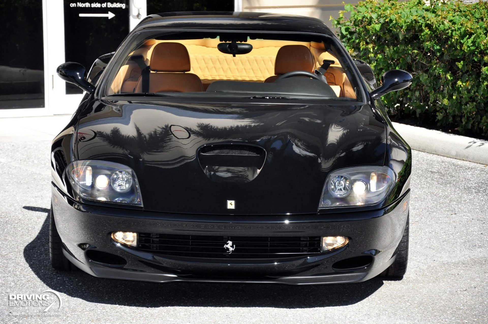 mph042_3616678131_284_p43_l_e874f9a78d