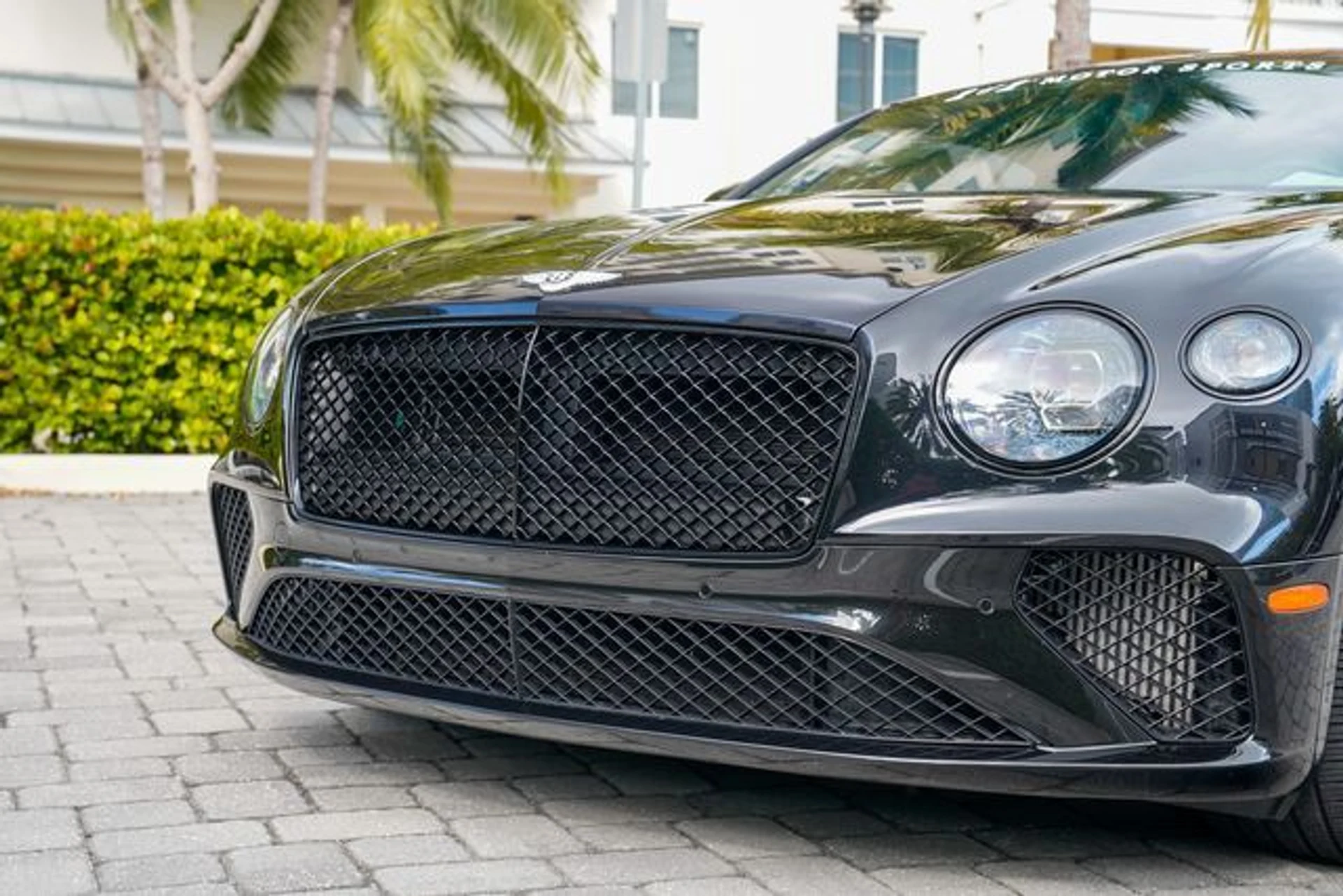 mph042_362107663_22959392_43_c379ce90ef