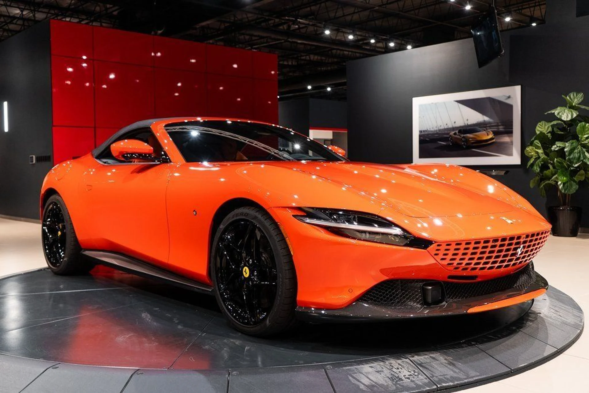 mph042_3798166327_43371e05bd9fb15336e59274cf4f0e12_f3d93cb4fc