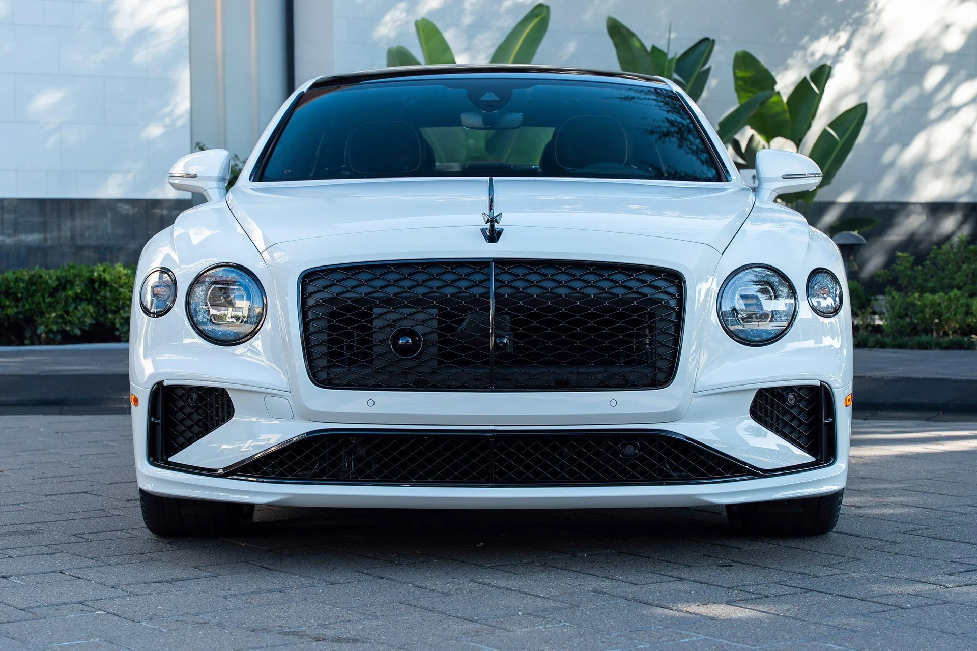 mph042_3923214392_462758417_6954bff14e73cd9f103f4f68_67b2d312c6