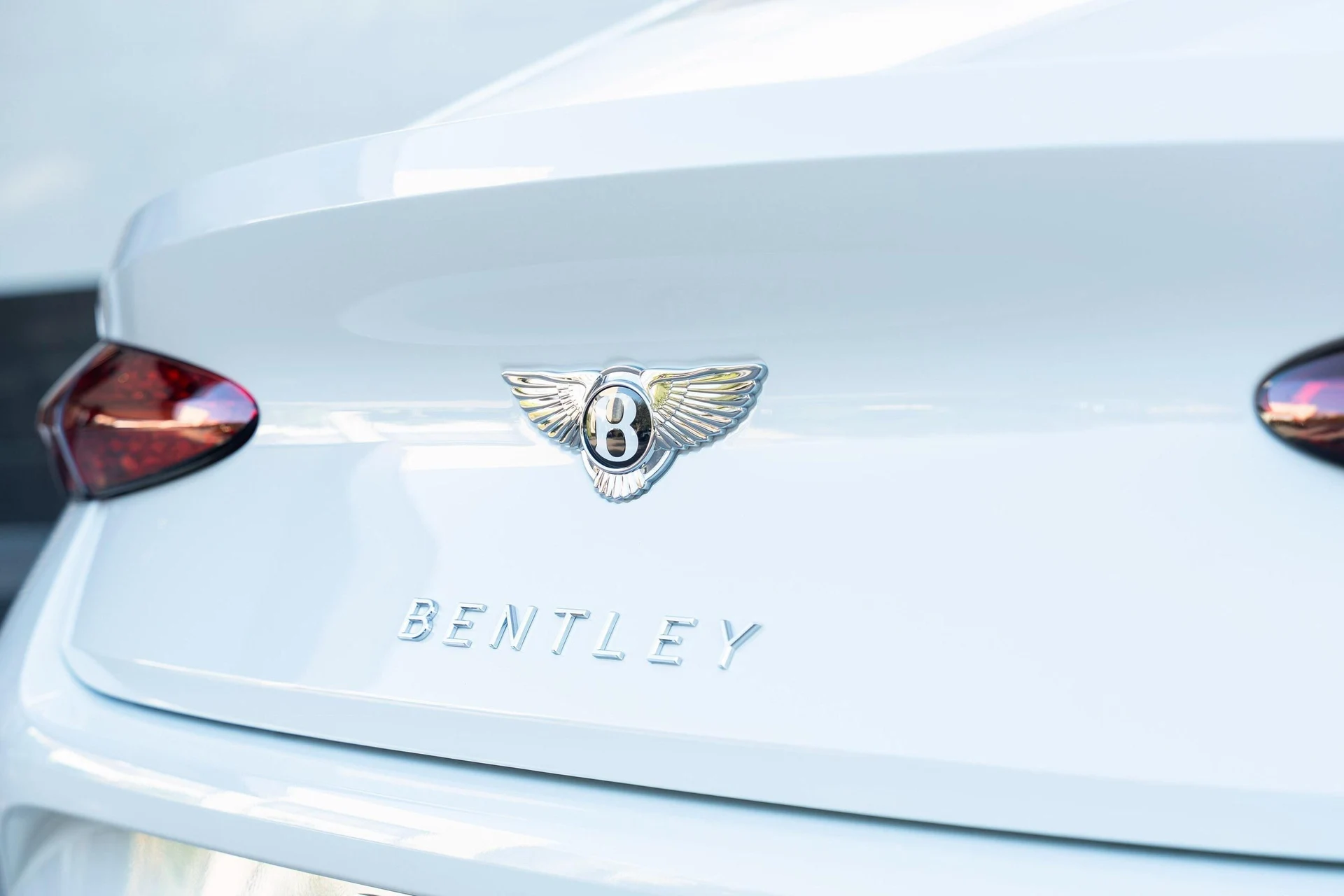 mph042_3929319959_458241676_68ef223c026595e726699a42_d62d6d3183