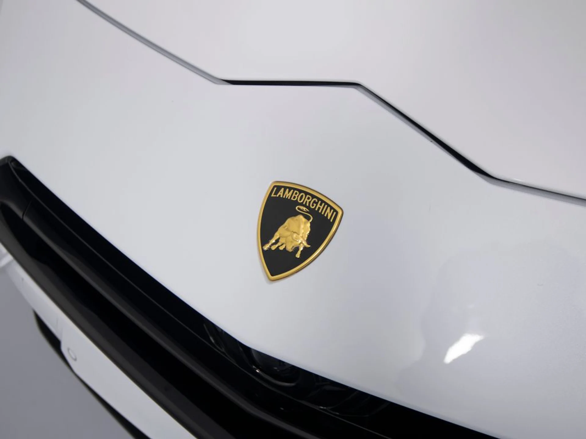 mph042_4132557404_a42029c40104a10fa4ebfa5c5d037779x_9e40d9a03e