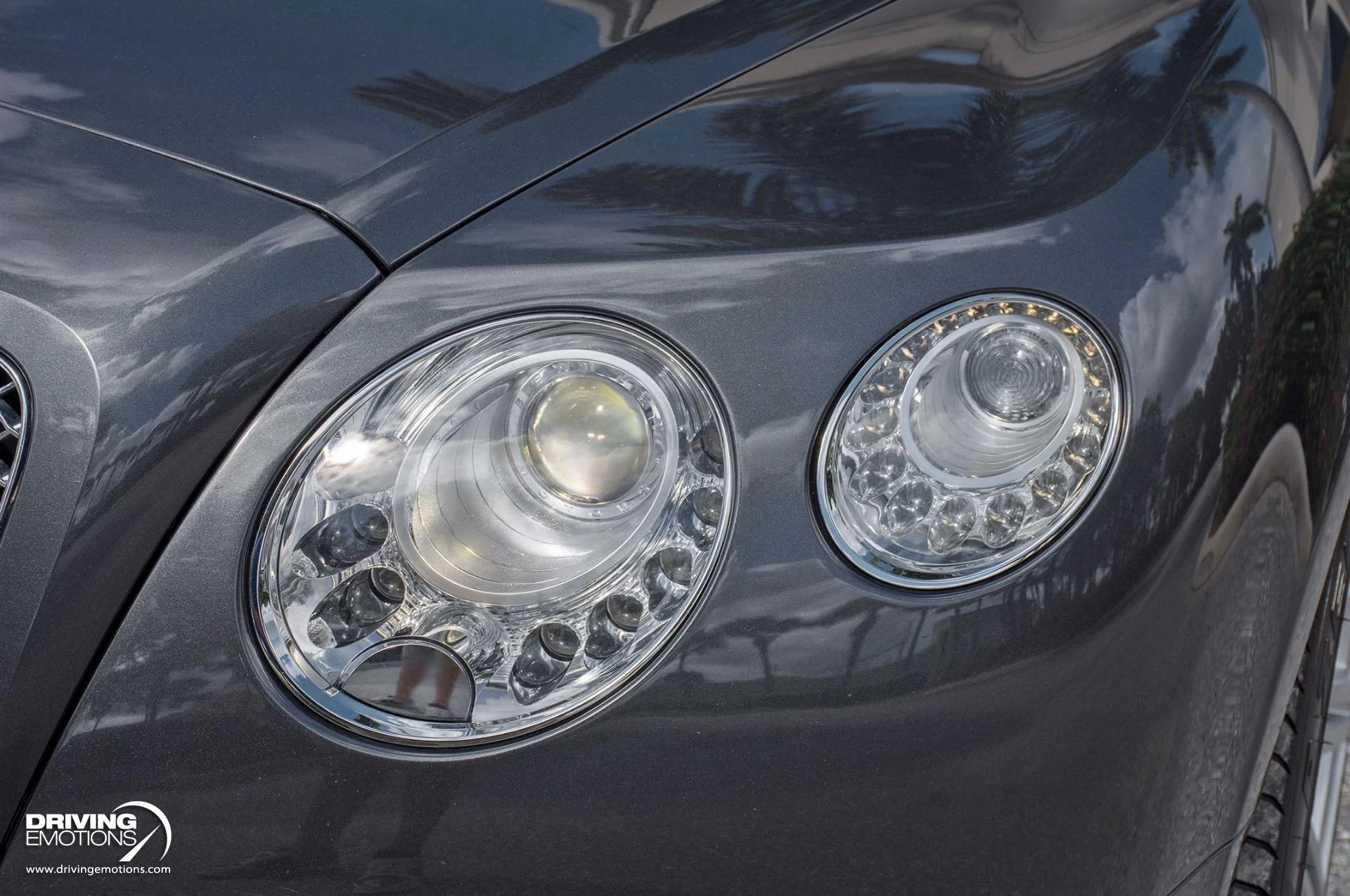 mph042_4259475151_871_p43_l_7d60982876