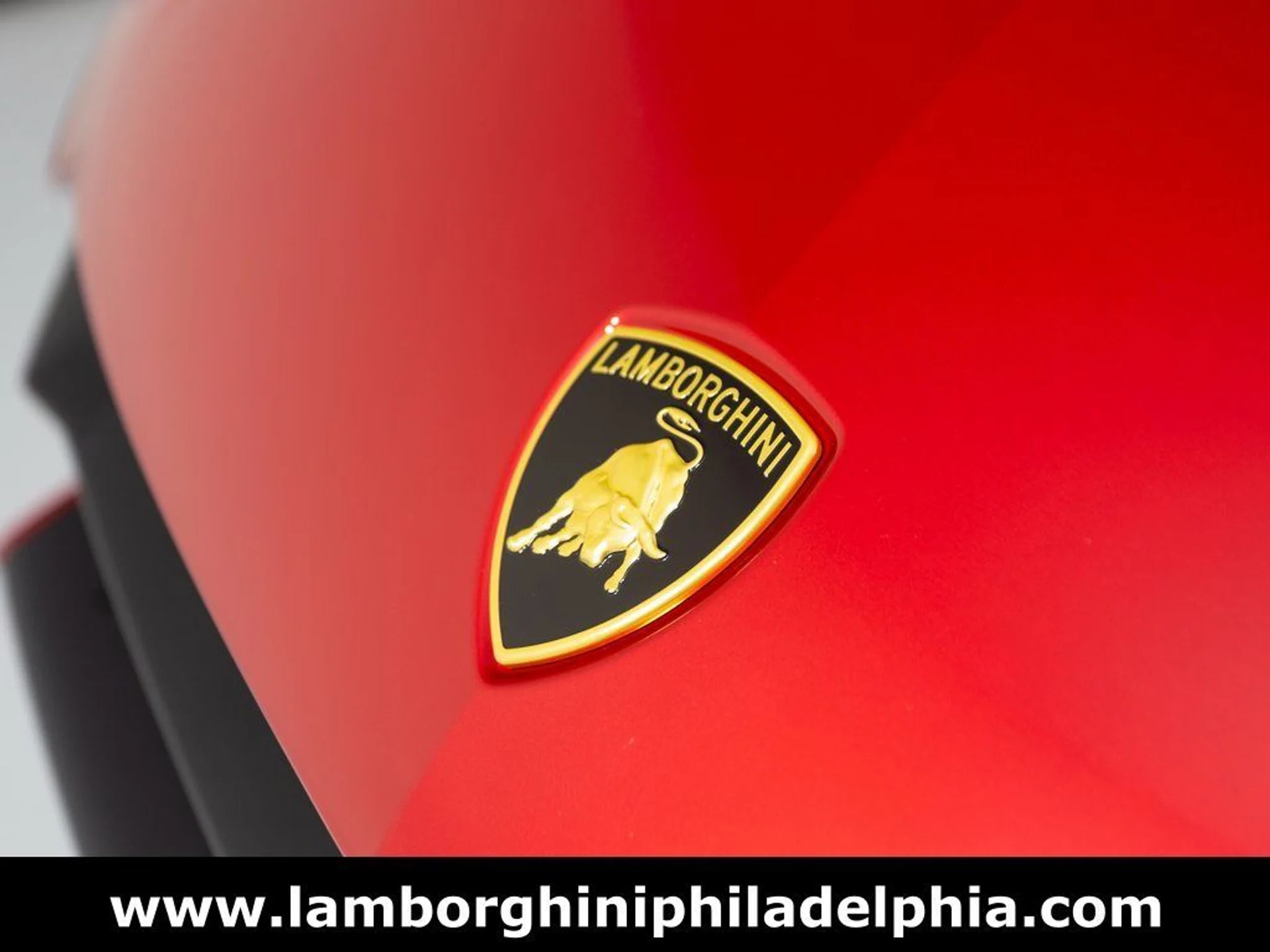 mph042_4261752814_53a21cf7213a6bc9ae61cad78144d5a8x_d7f616ffa1