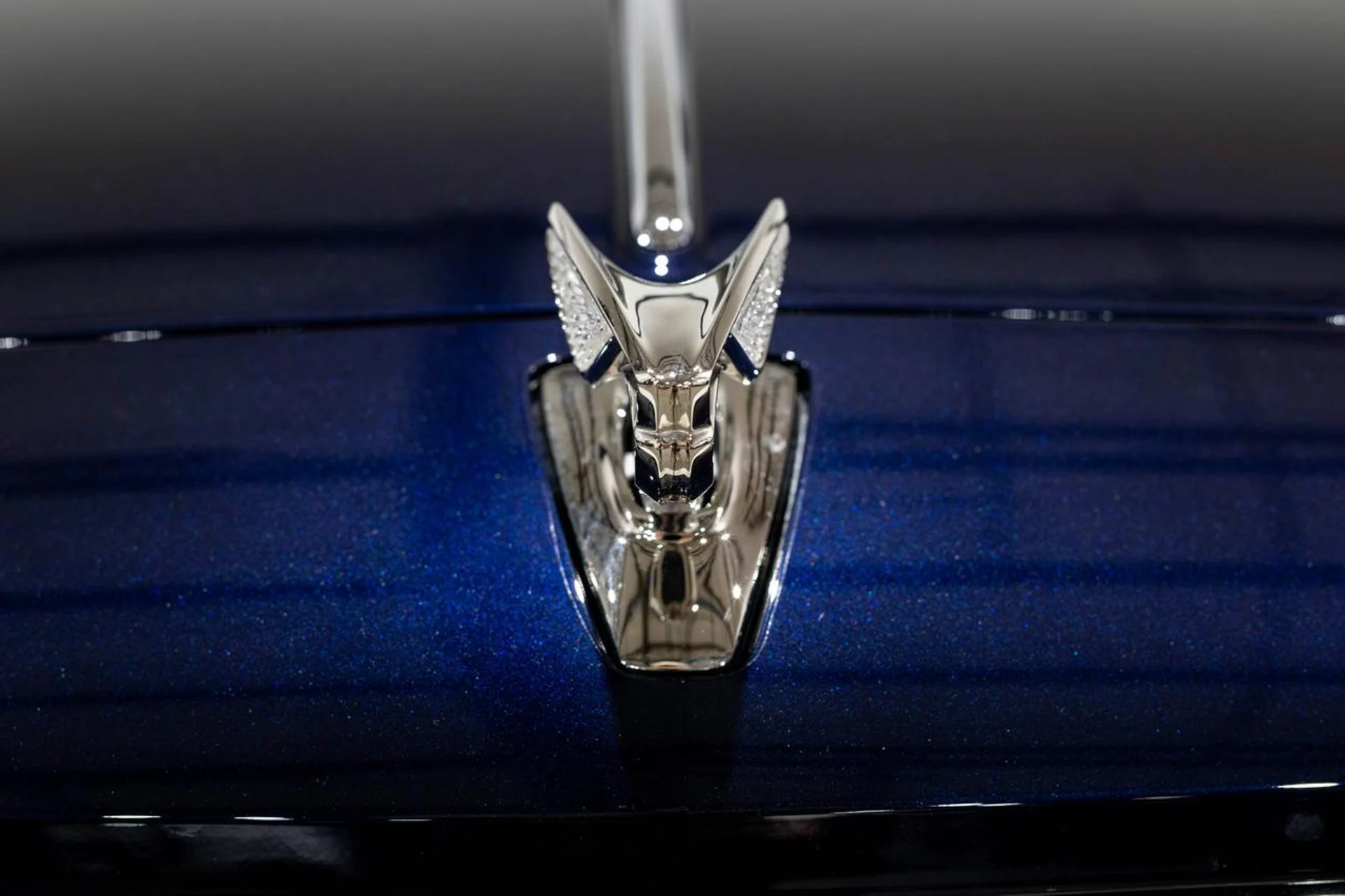 mph042_473509166_d30e434746e9e095f71a0c9911416e5e_6449b518f1