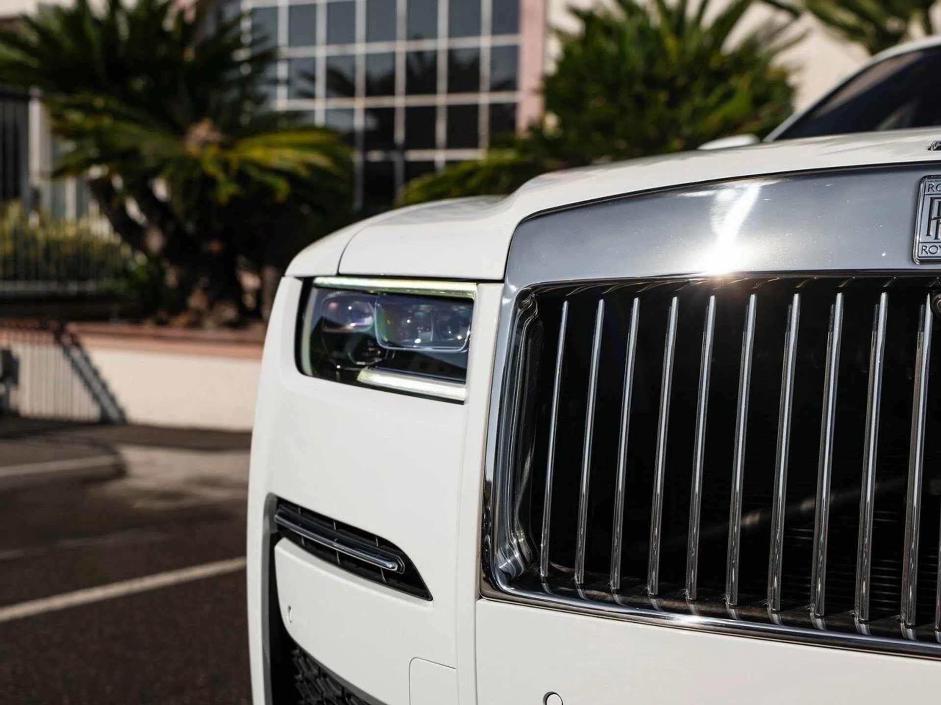 mph042_555349774_4e771a25bd4490c77475dae85d353b61x_e135dfbdd0