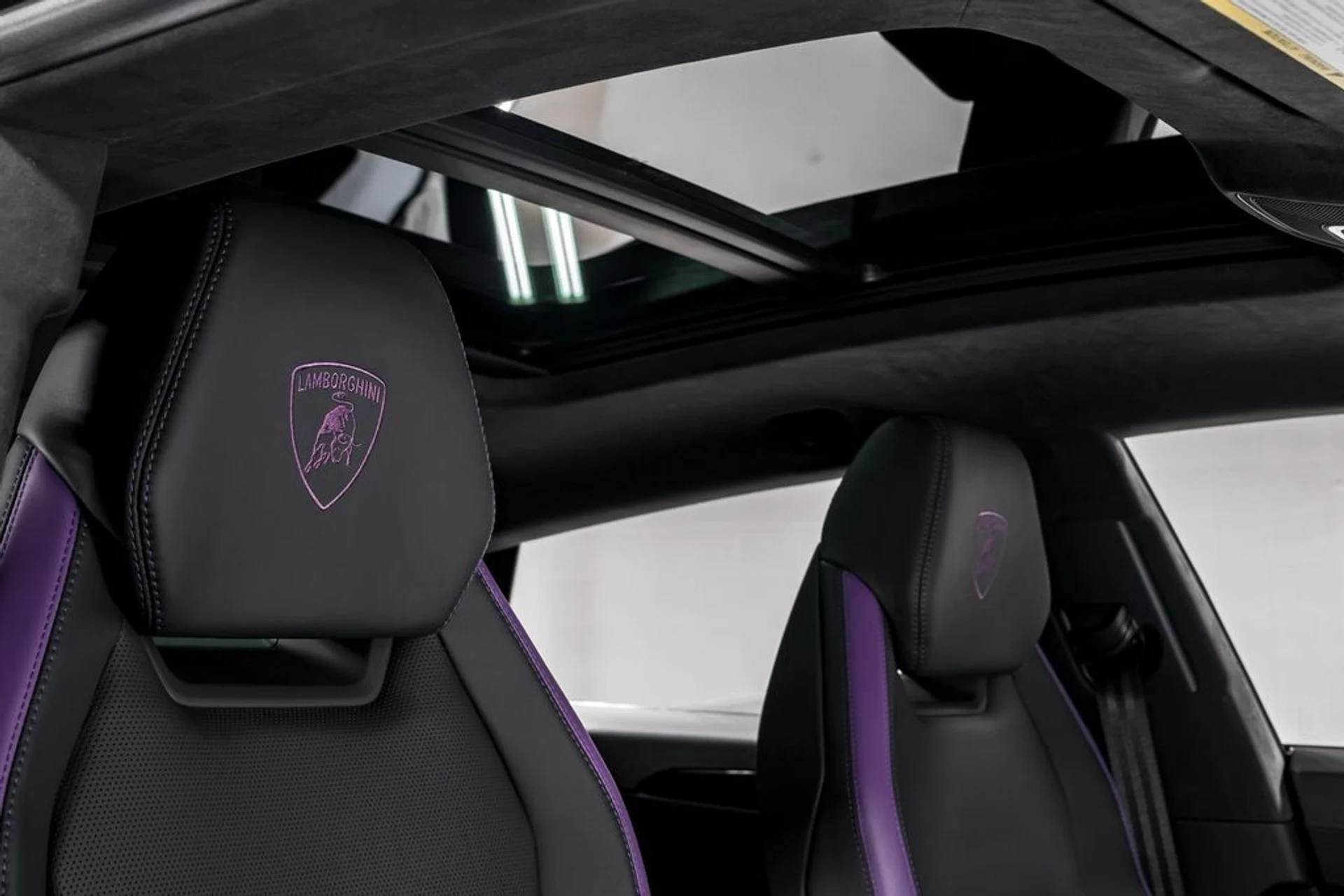 mph042_597593035_d837c1cff657d02abb2611c523b88fa2x_0c6885a502