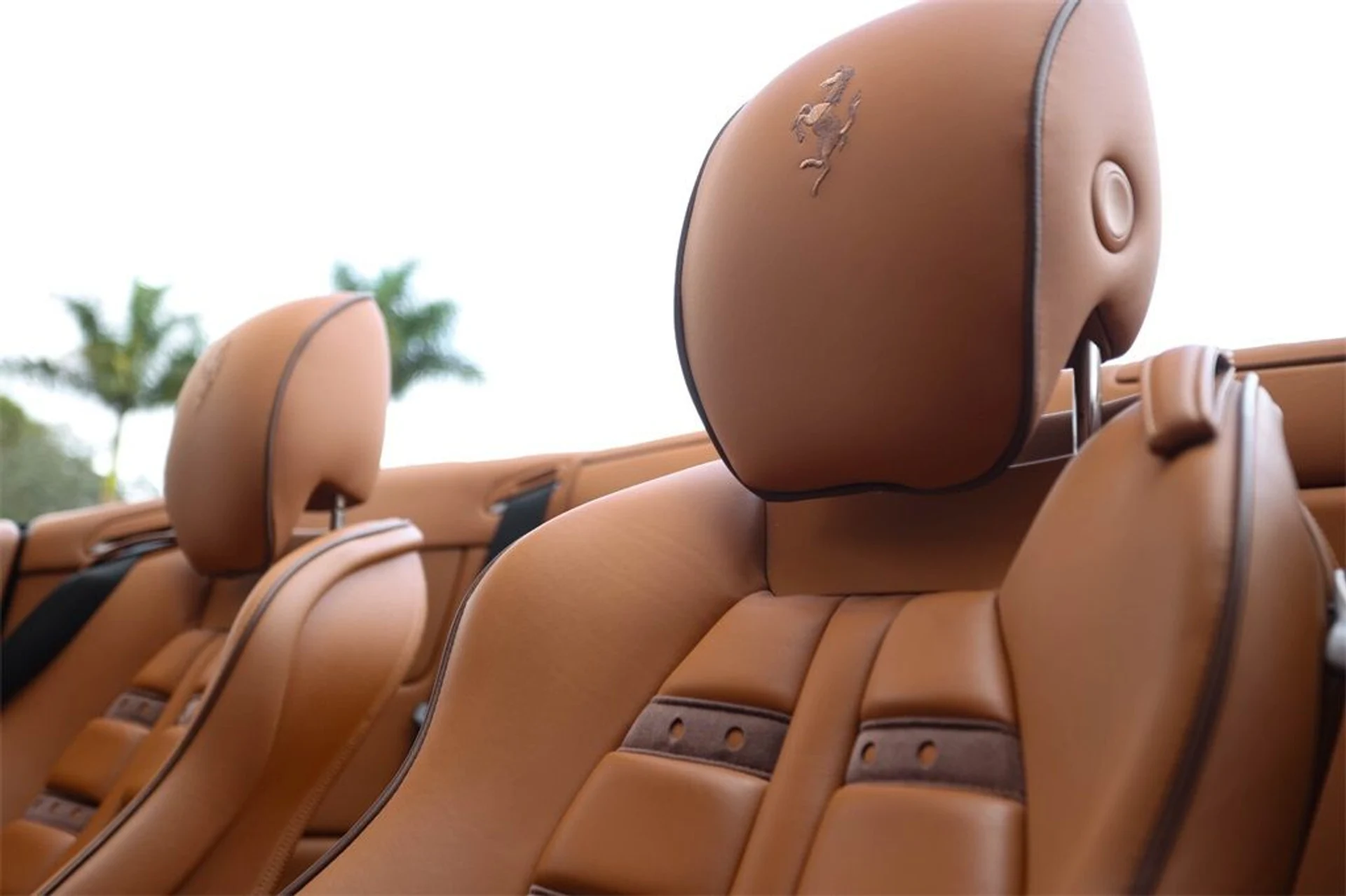 mph042_630615013_07a450cf4494b636309380ae4a41b59e_eb7d5544a4