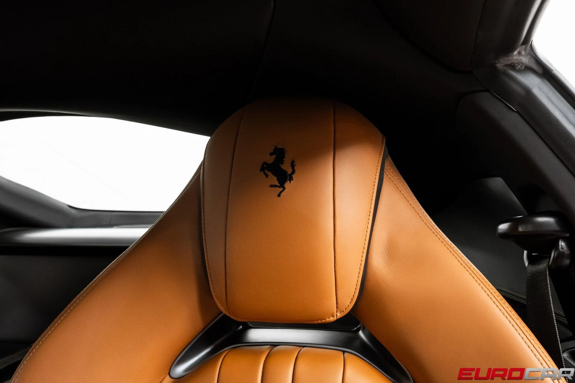 mph042_682935197_image_43_a849f68a61