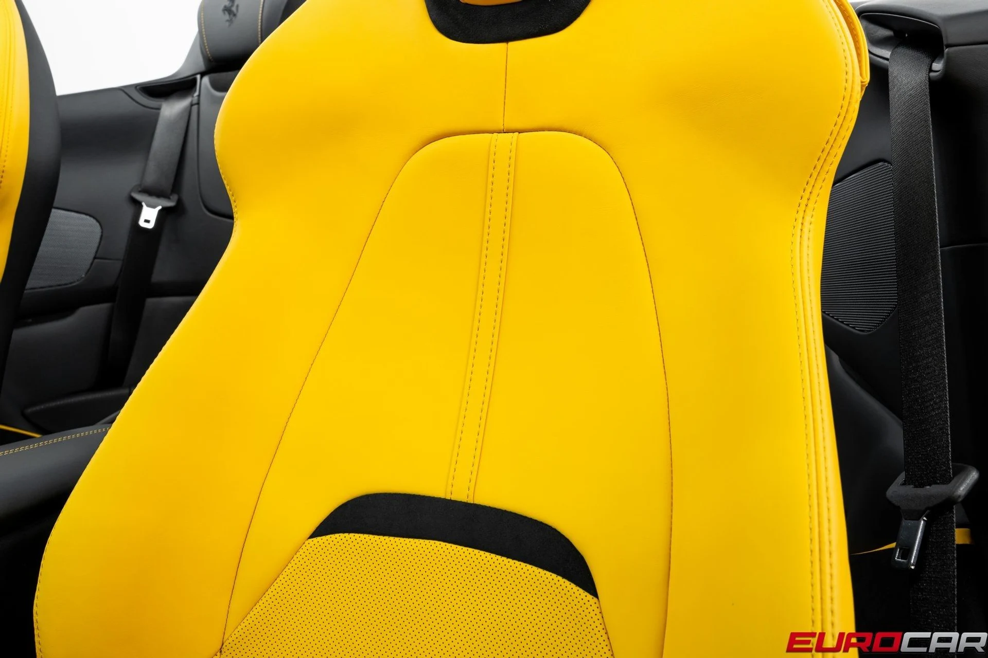 mph042_98640123_image_43_708266466c