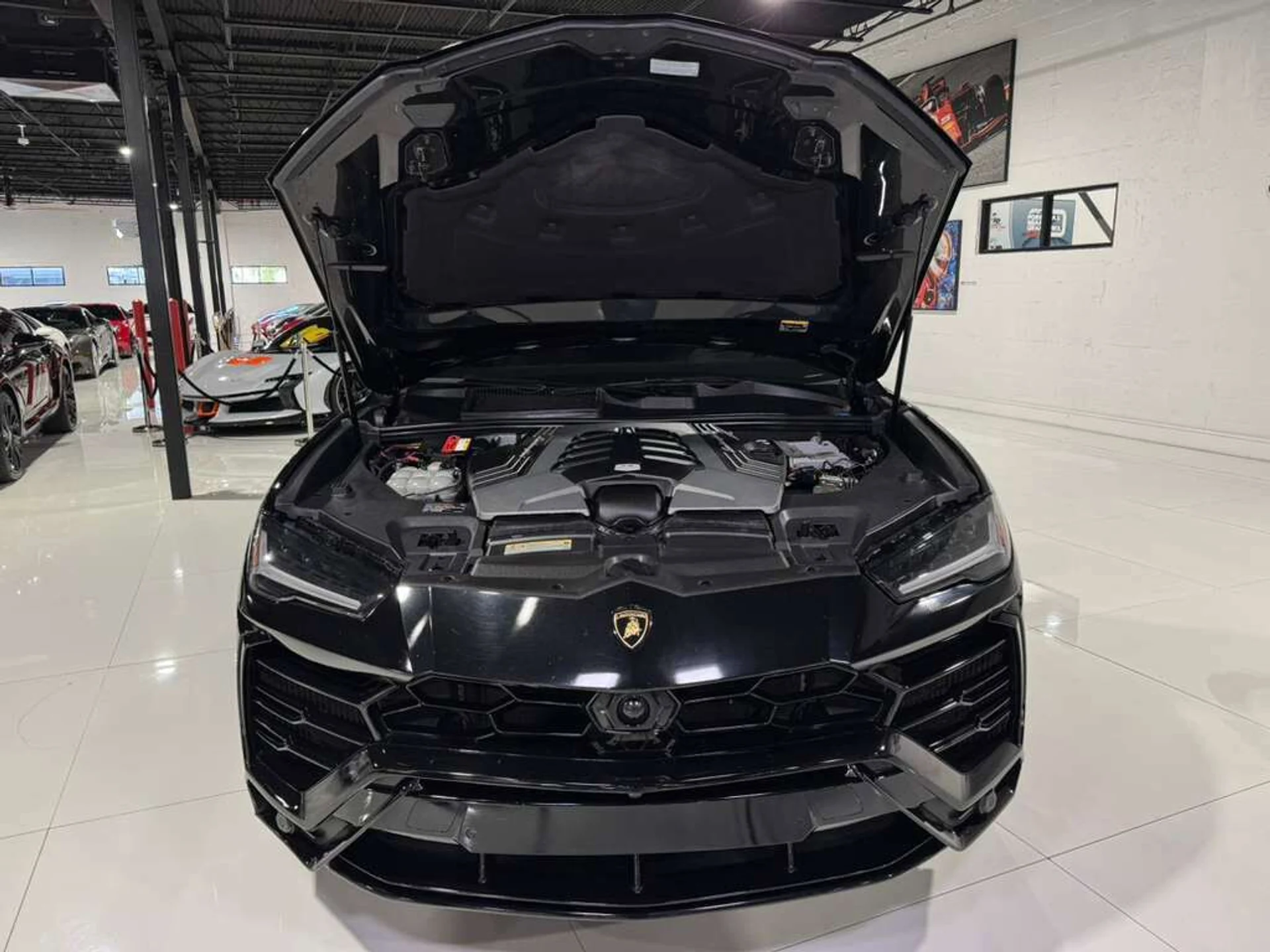 mph043_1108644933_c58e0827b1e6c981926659b053f841f6_d7d5139378