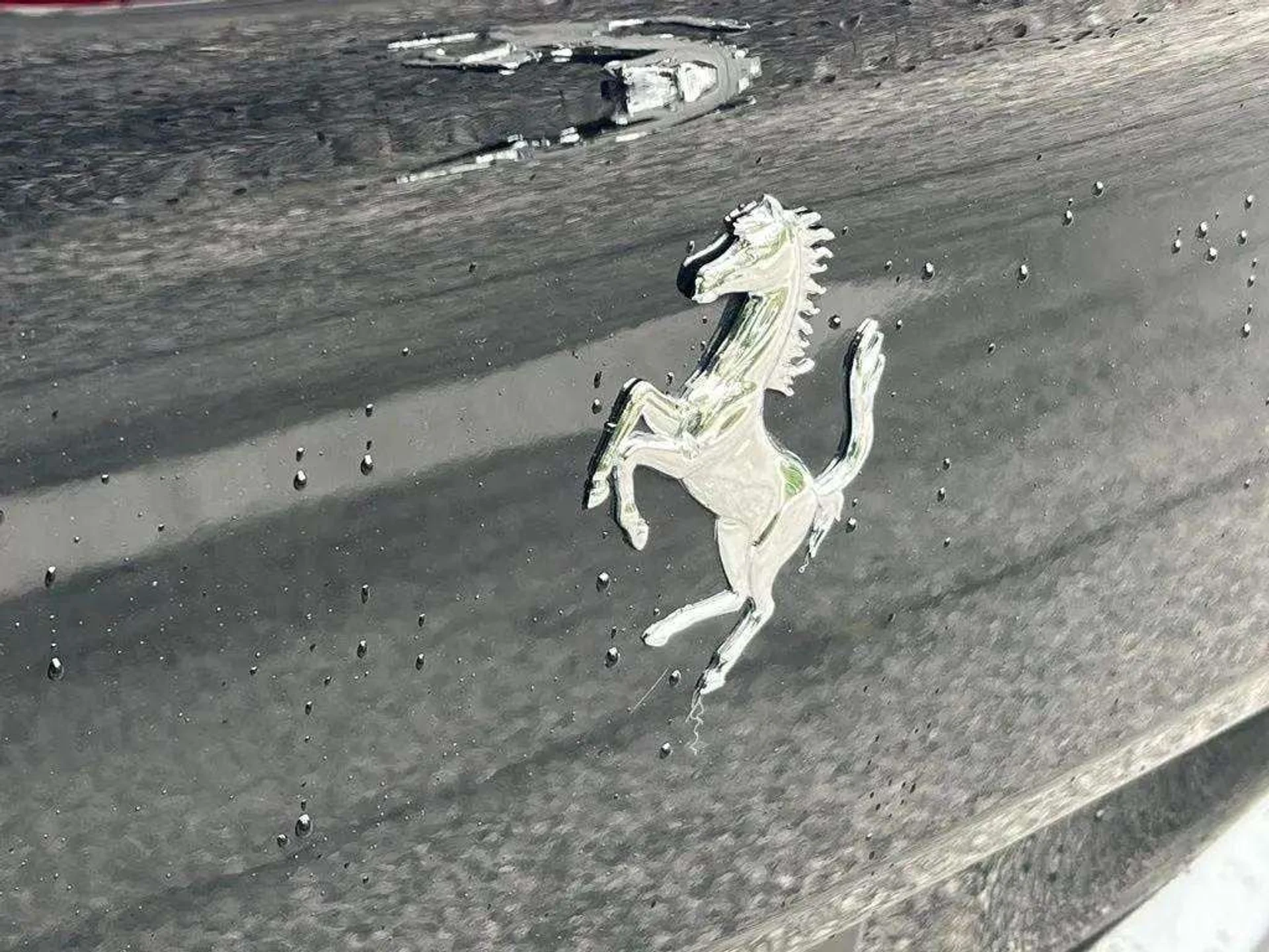 mph043_1112944575_f04dca0ea70bf6382bf41bdd19395a43x_fdbacf61d9