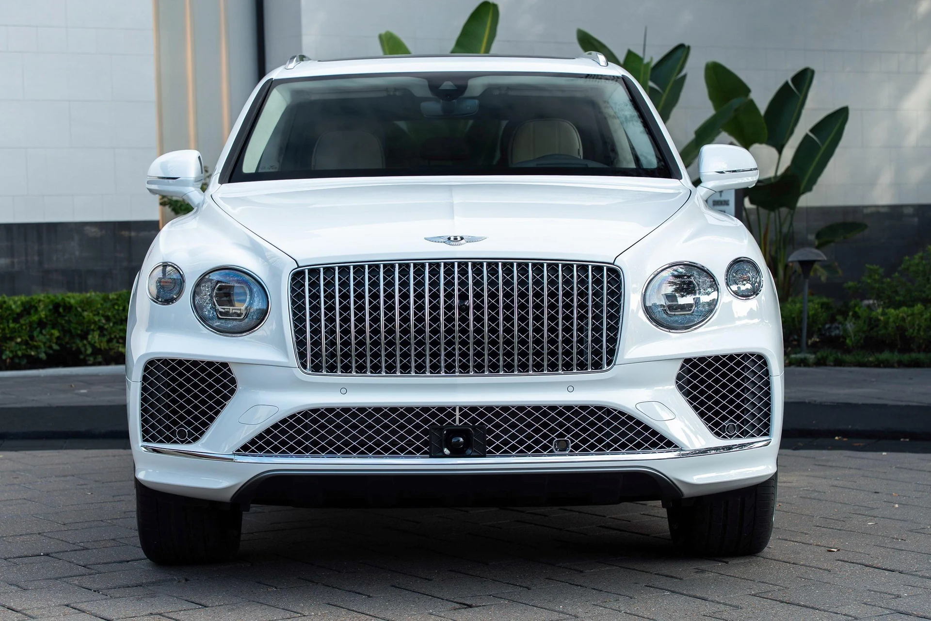 mph043_1243356349_462758411_6954bf9c4e73cd9f103f4eeb_5d86a0b2ed