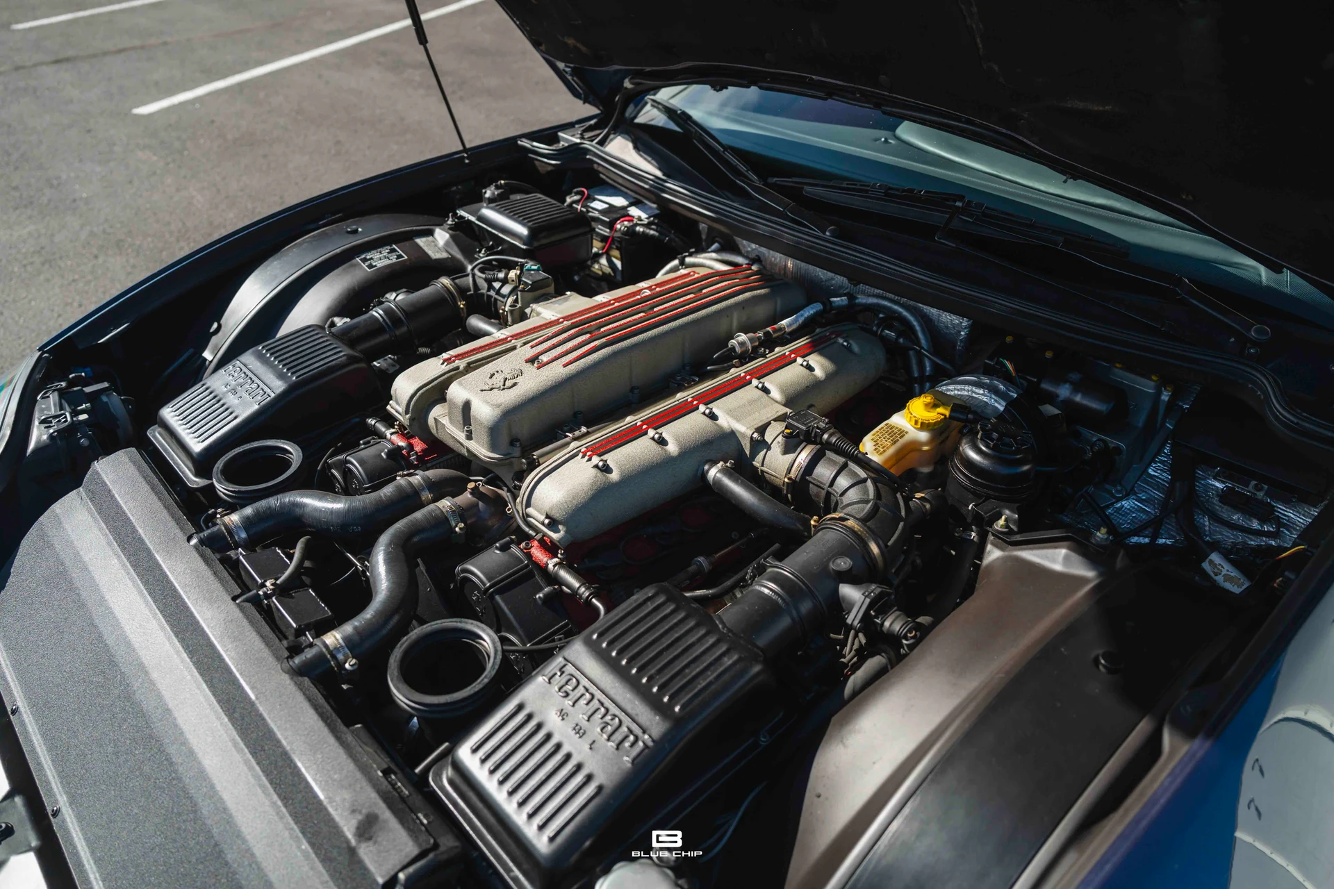 mph043_1269453467_6a99a98e9cb080fca993dc1e_A7405098_d1049b3022