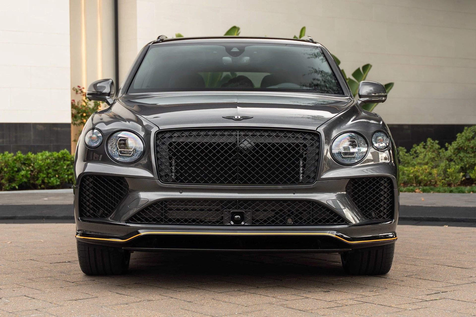 mph043_137473661_481316810_696731c306313b069d563bd6_29becef429