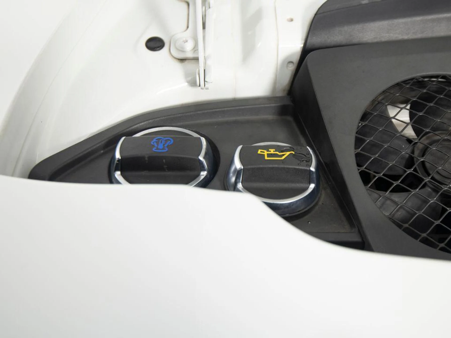 mph043_1446125413_Rl8_Wnxb4_Y_Rv_Z4_T_Td_SVK_5_E4_Qgaas_9aa0ec843b